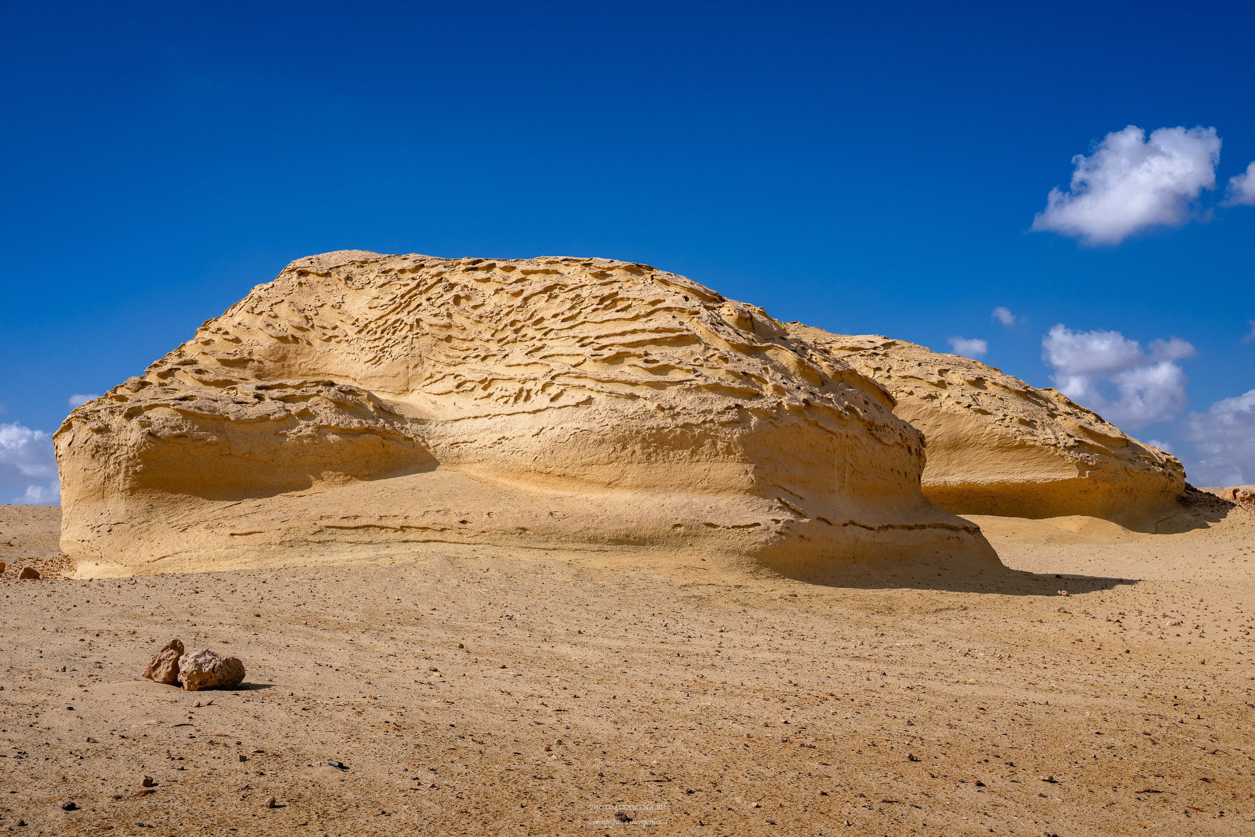 Снова в пустыню, за скелетами…. Авторские стильные фотокартины