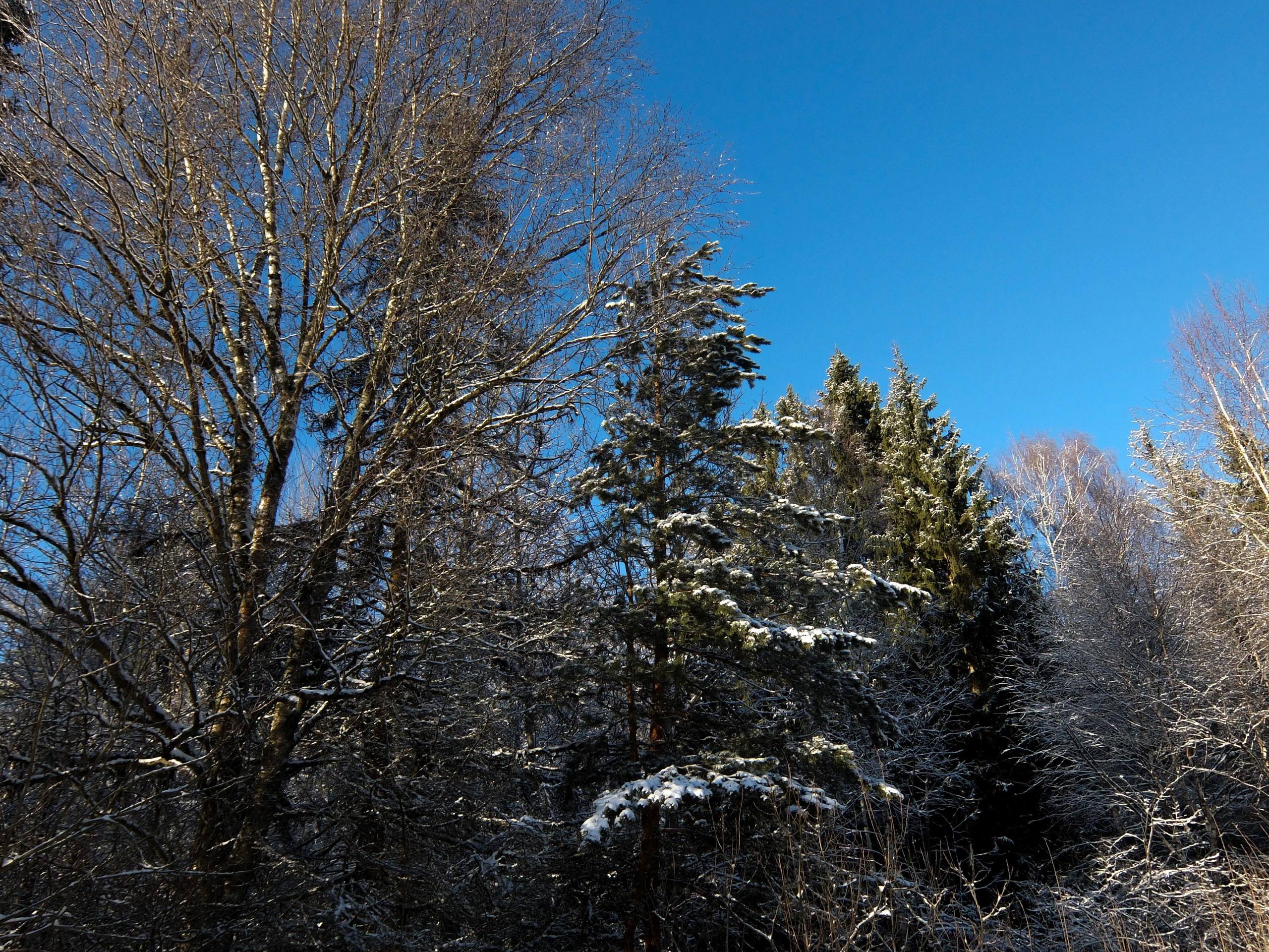 Солнечный день Нового Года. Фотограф-документалист Мария Осокина