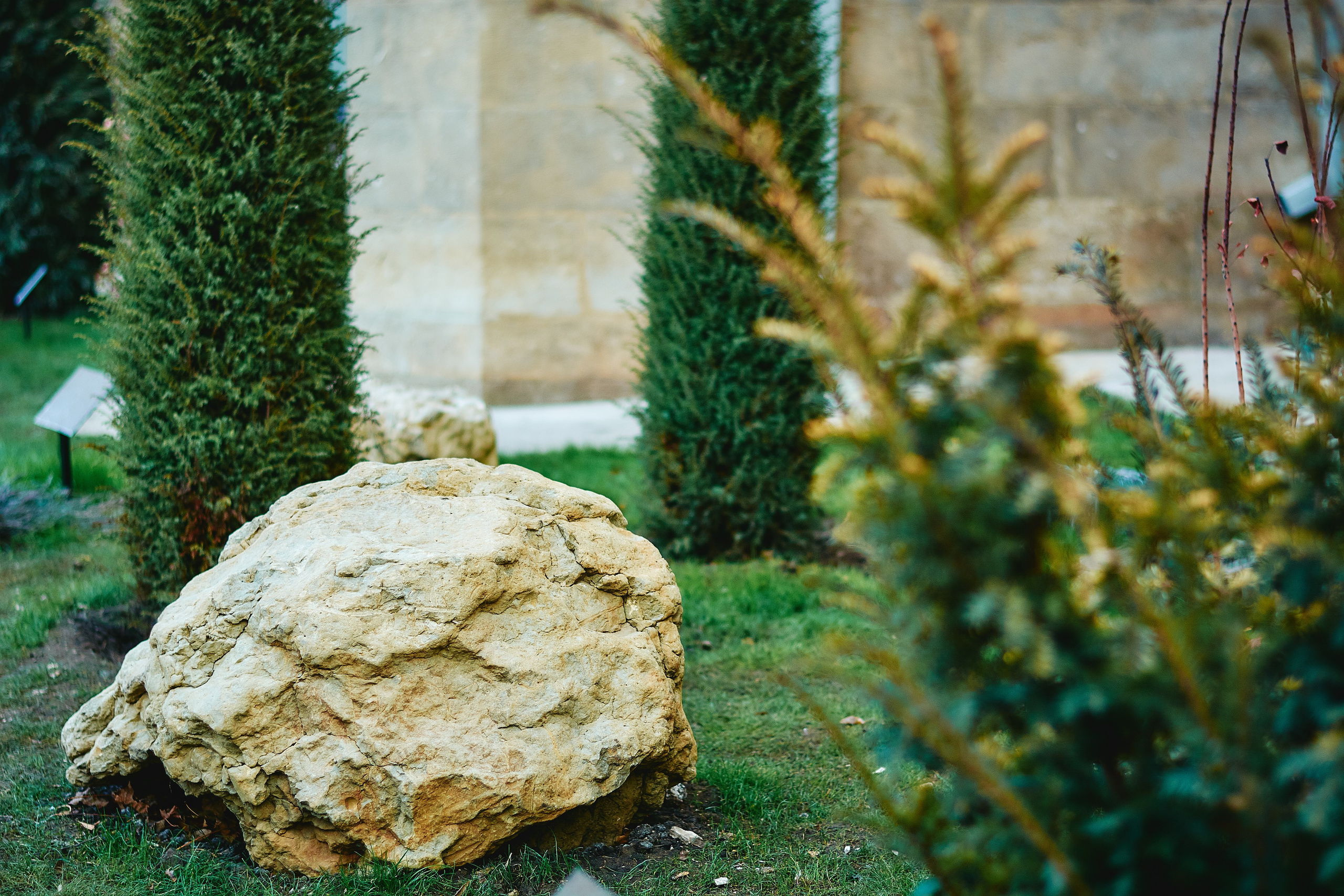 Интерьерная съемка Визит-центр Национальный парк «Кисловодский». Константин Кордонский | Интерьерный и food-фотограф в Кисловодске и КМВ