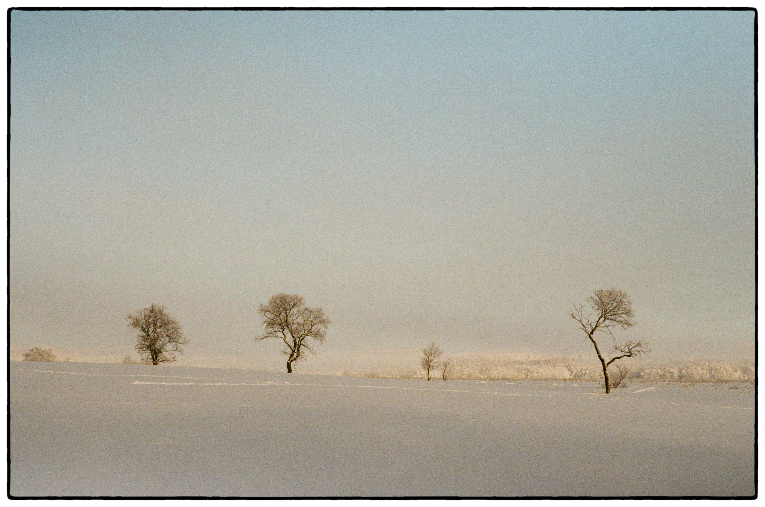 Зимнее. Фотограф Филякин Константин