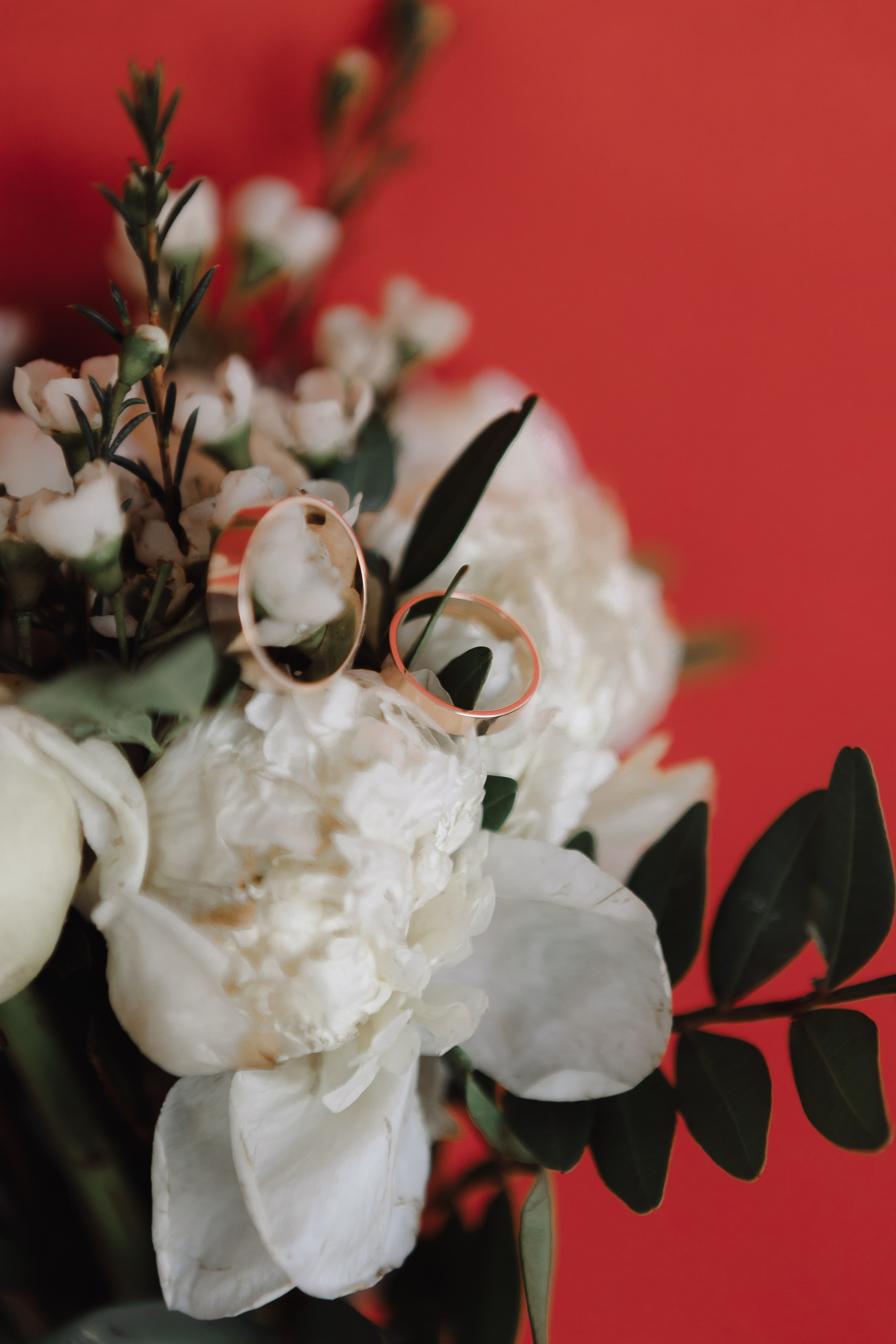 Свадьба Сергея и Елизаветы. Фотограф Кольчугино/Владимир/Москва Елизавета Иода