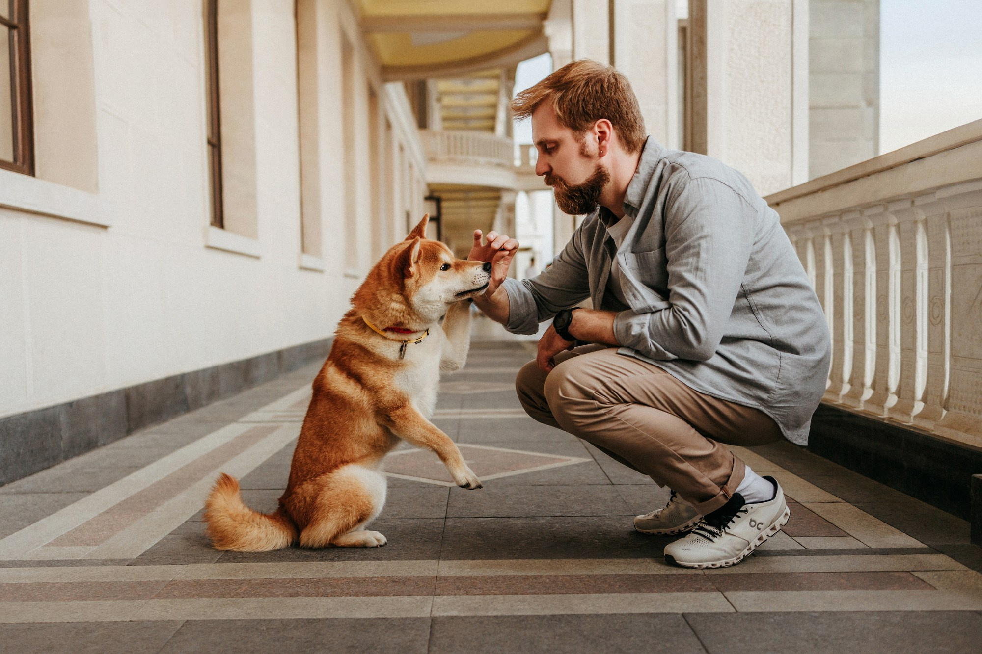 Аня, Влад и Ики. Фотограф-анималист Елена Радченко, Москва