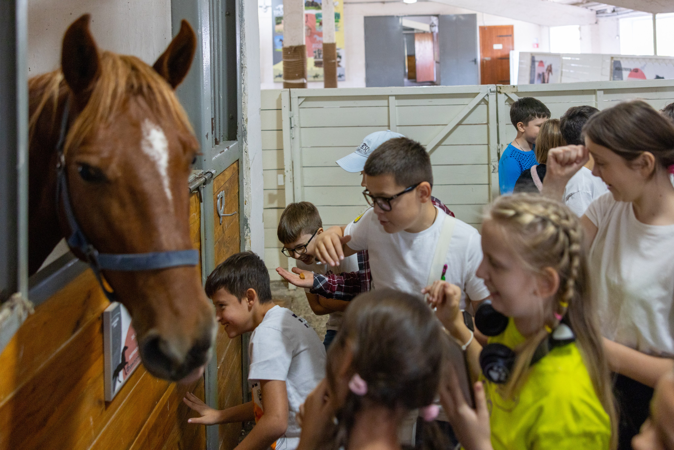 Поездка на поле Кулеково. Фотограф в Туле Крупский АнДРей. Фотостудия «КАДР71» в Туле