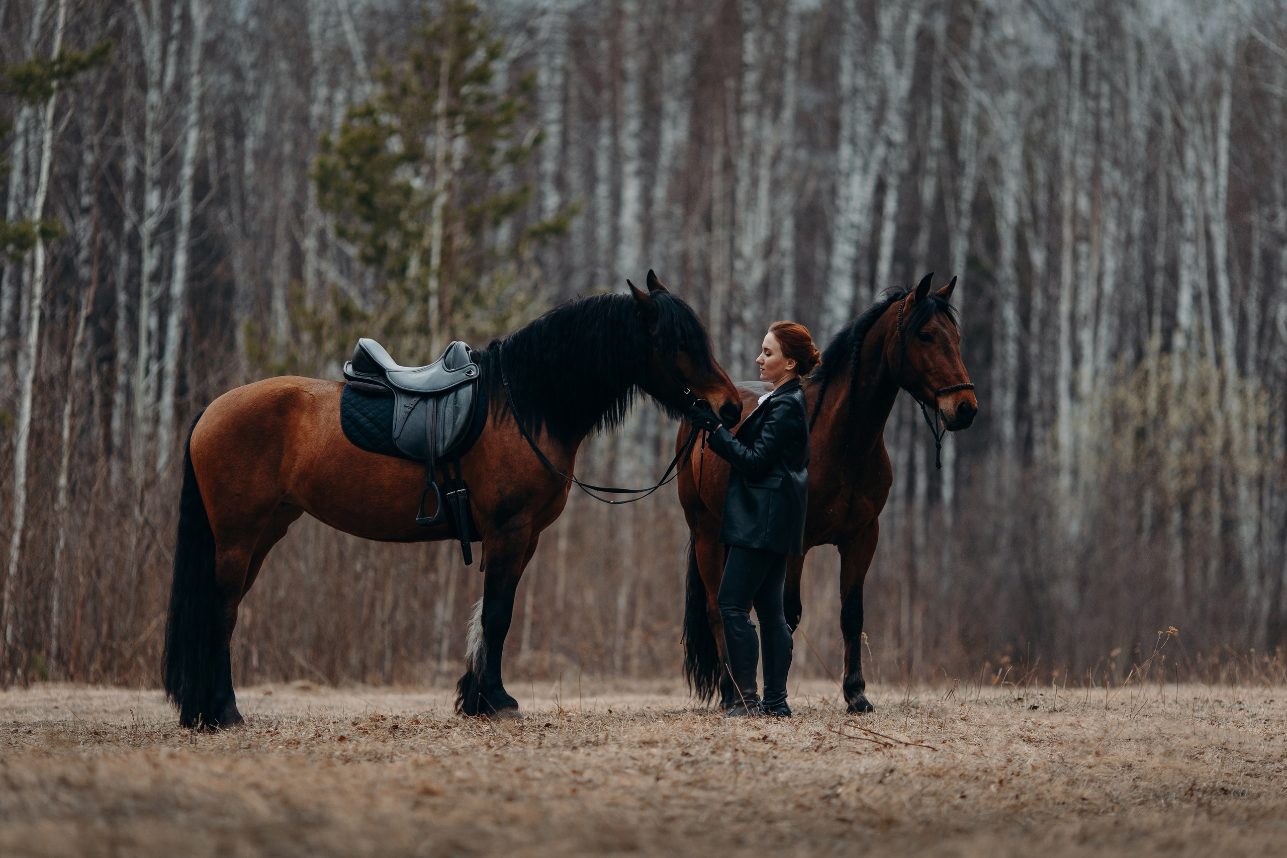 Яна и Халветта. Анна Молчанова конный фотограф в Тюмени | фотосессии с лошадьми Тюмень