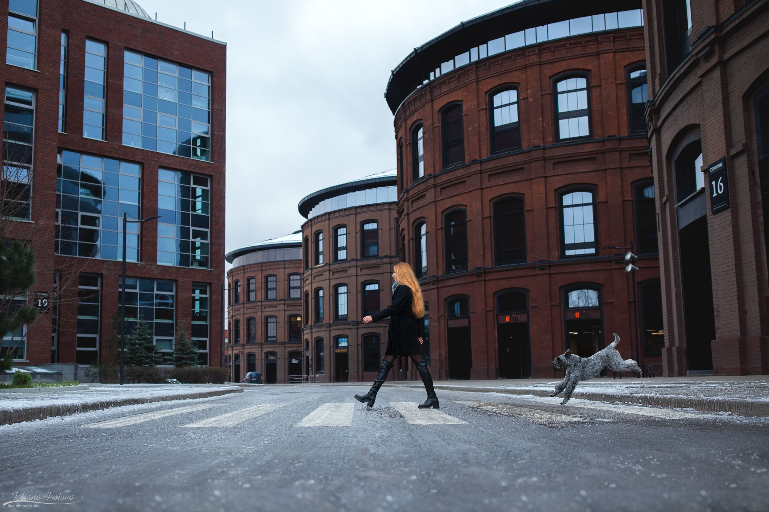 Городская съемка в стиле лайфстайл. Фотограф-анималист в Москве и Московской области Татьяна Фролова