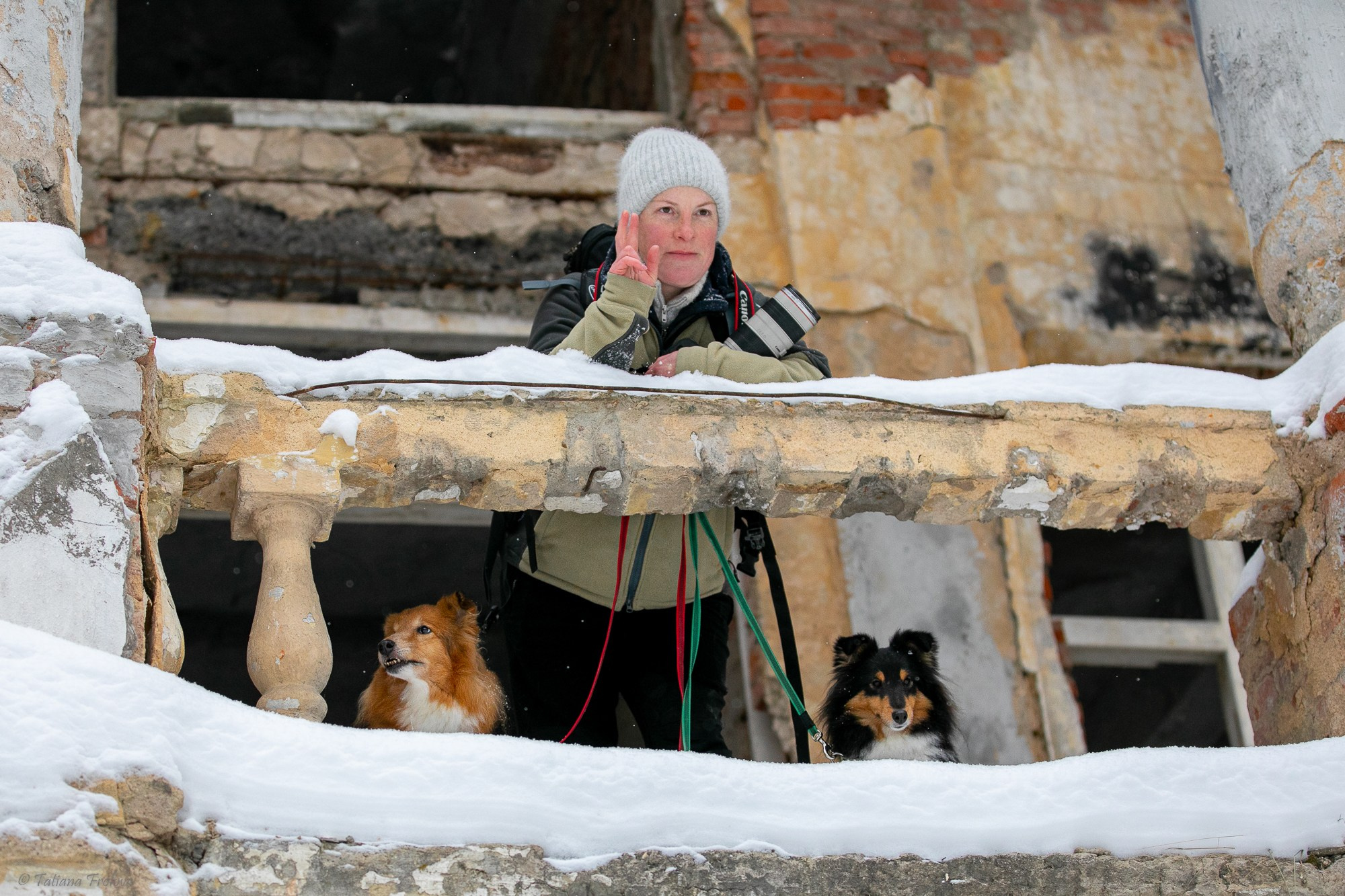 Фотосъемка похода с собаками в Московской области. Фотограф-анималист в Москве и Московской области Татьяна Фролова