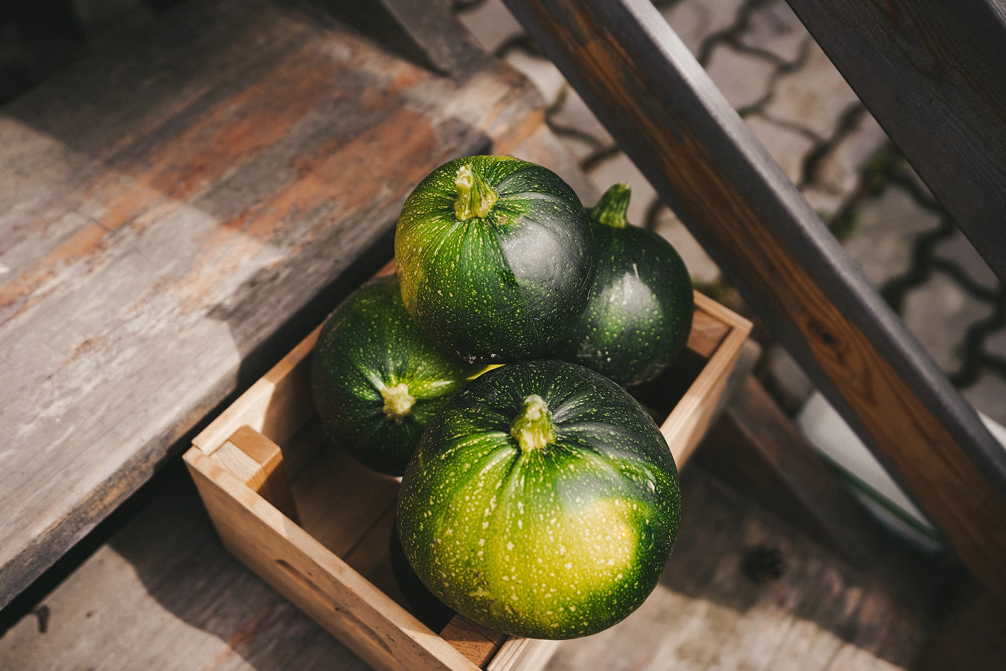 COMMERCIAL. Анна Ульянова