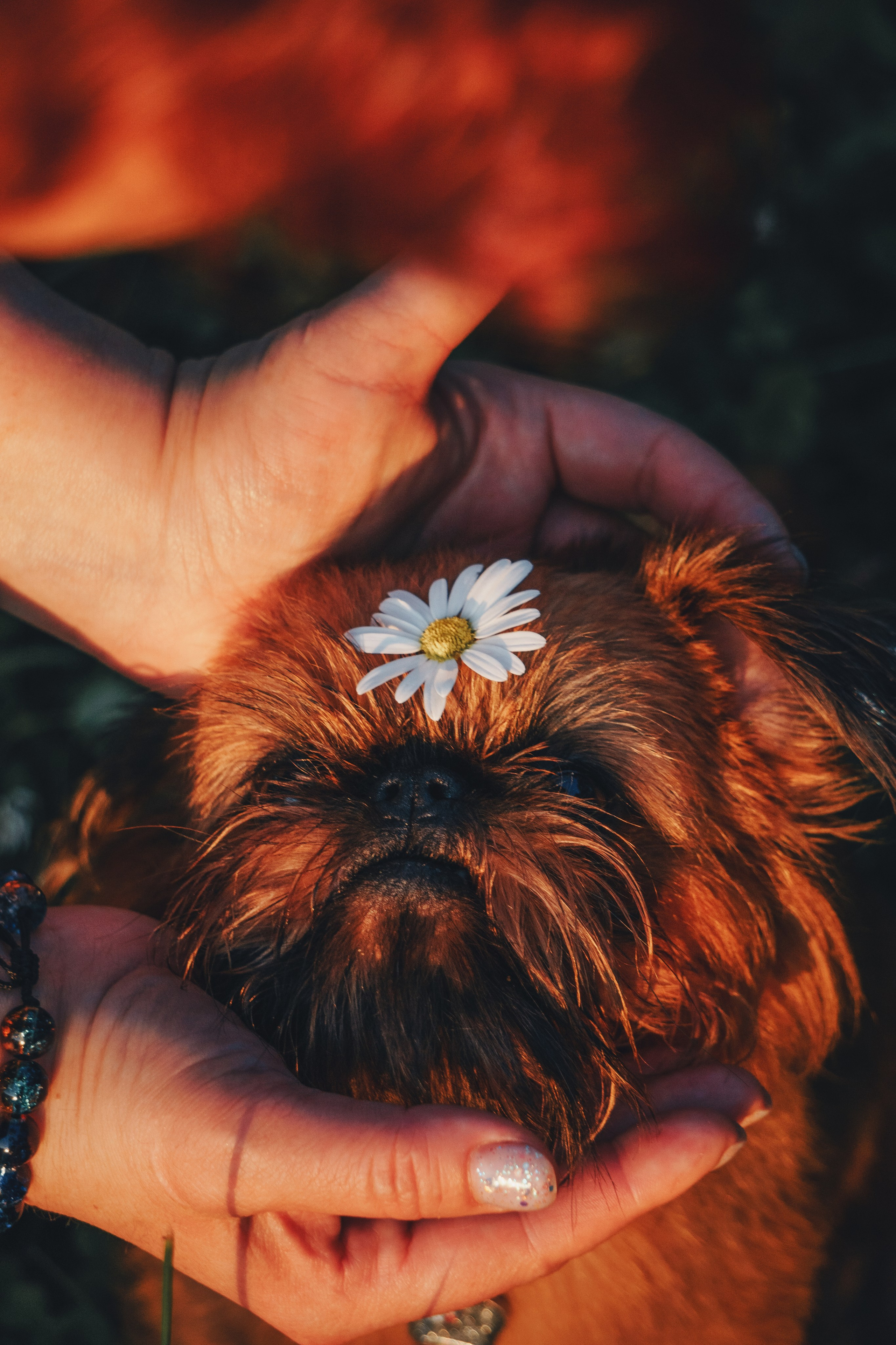Катя и Яшма. Фотограф-анималист Ксения Воробьева, Москва