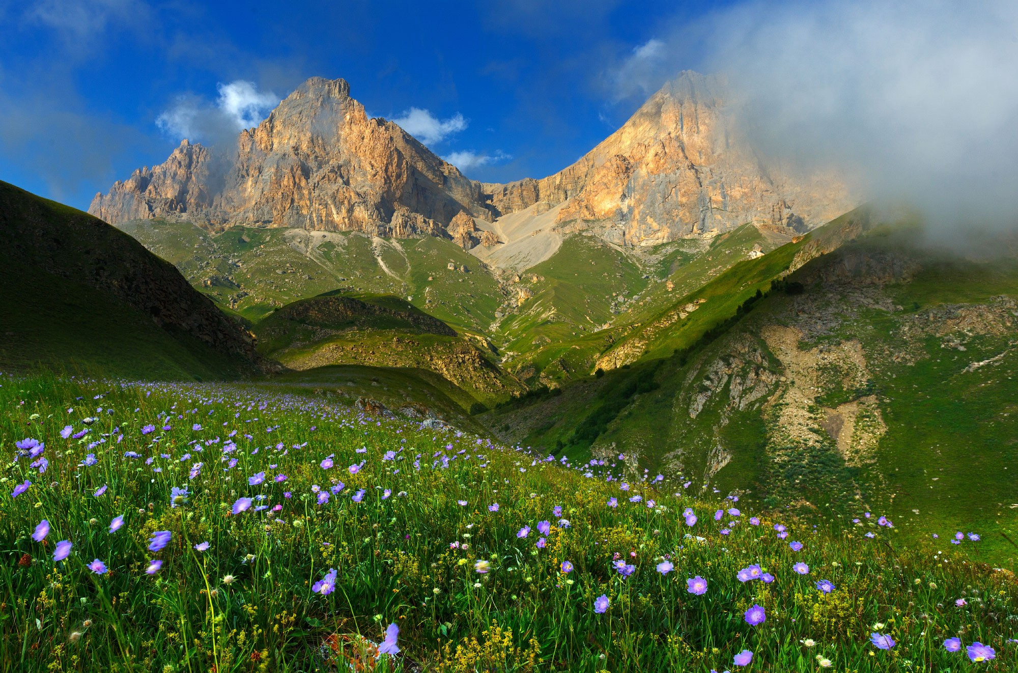 Свадебный фотограф в Геленджике