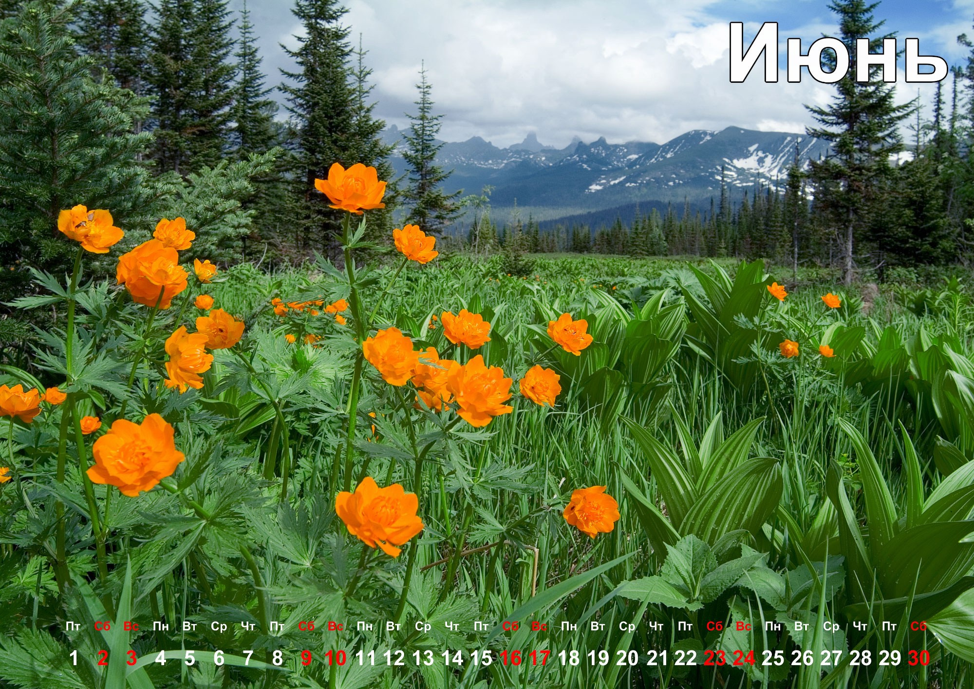 Свадебный фотограф в Геленджике