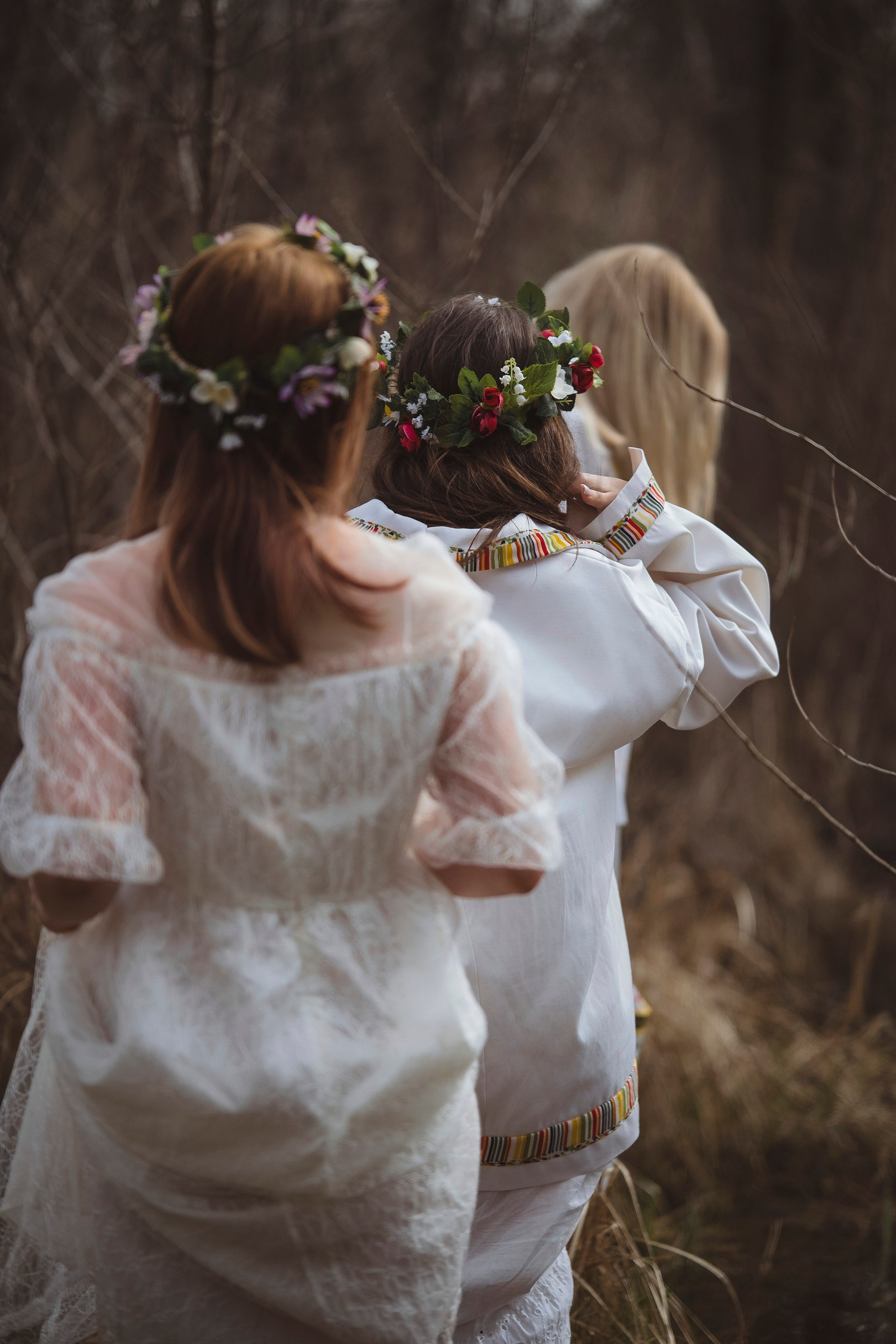 Зеленый остров. Главная