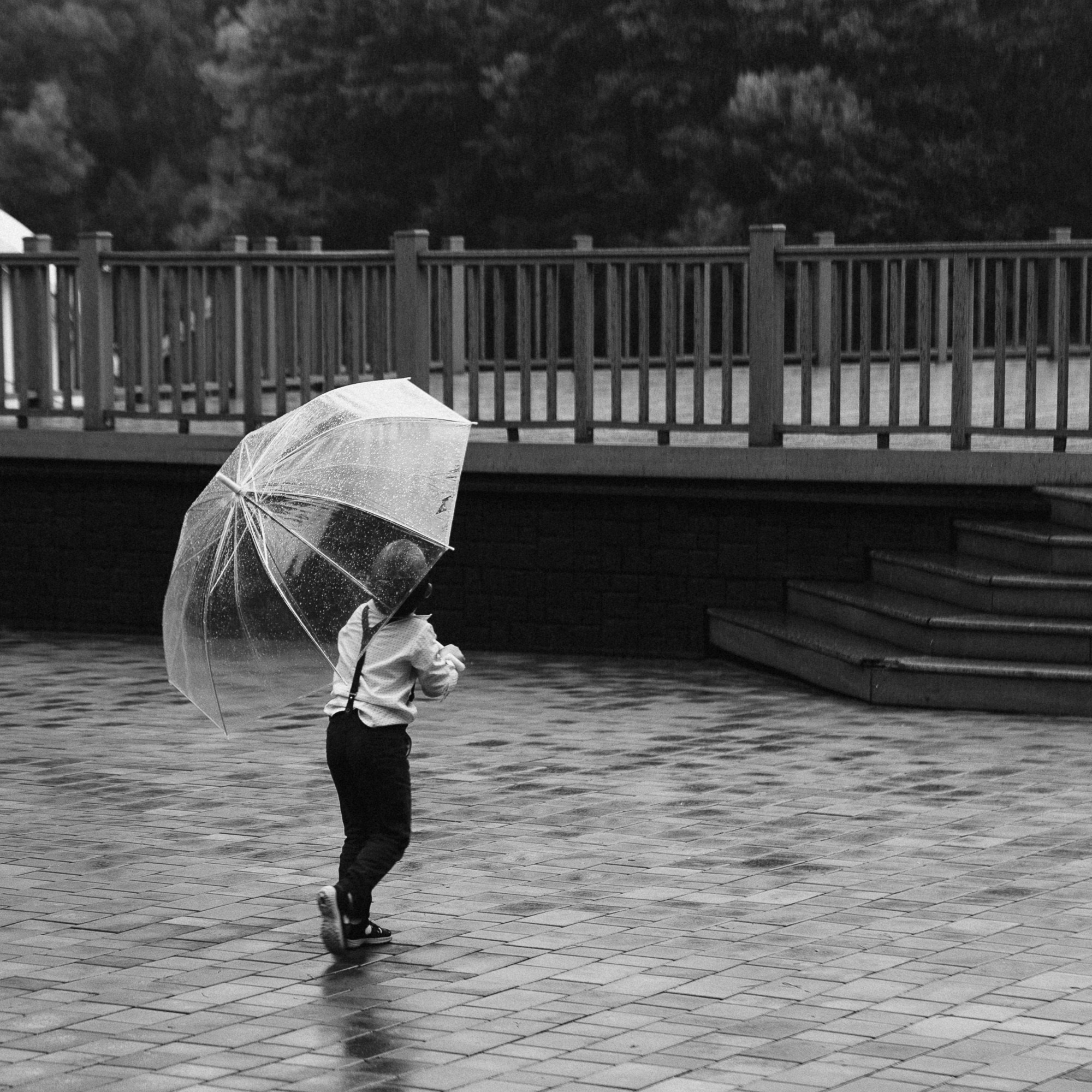 СВАДЕБНЫЕ СЕРИИ. Свадебный Фотограф Толстой Константин