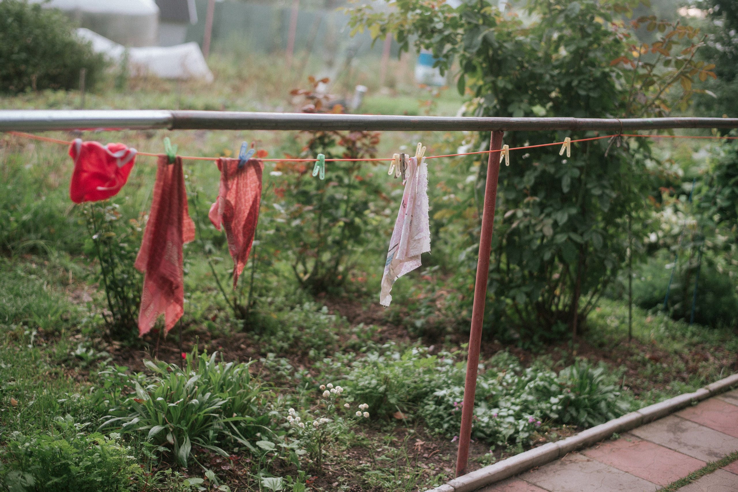 Детство Таи, Зои и Фани. Детский и семейный фотограф в Новосибирске Саша Дорошенко