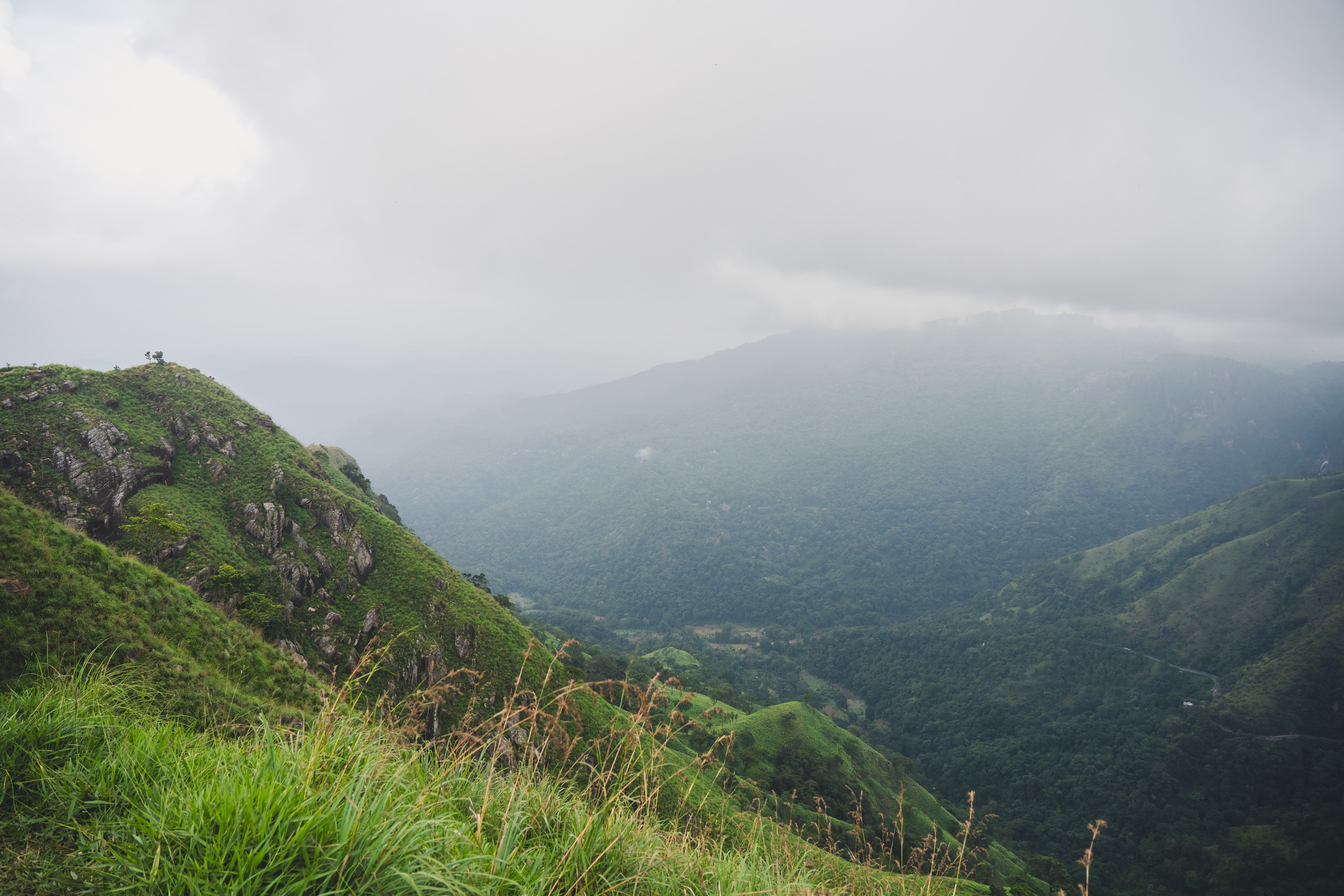 Шри-Ланка 2025. Легкая фотография