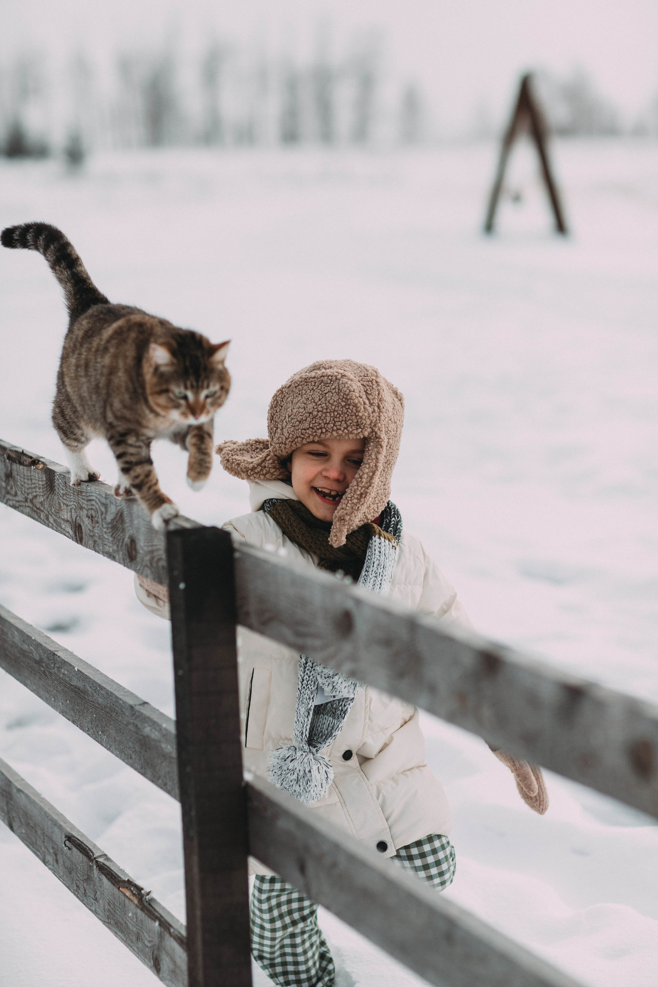 Треугольный домик. Главная