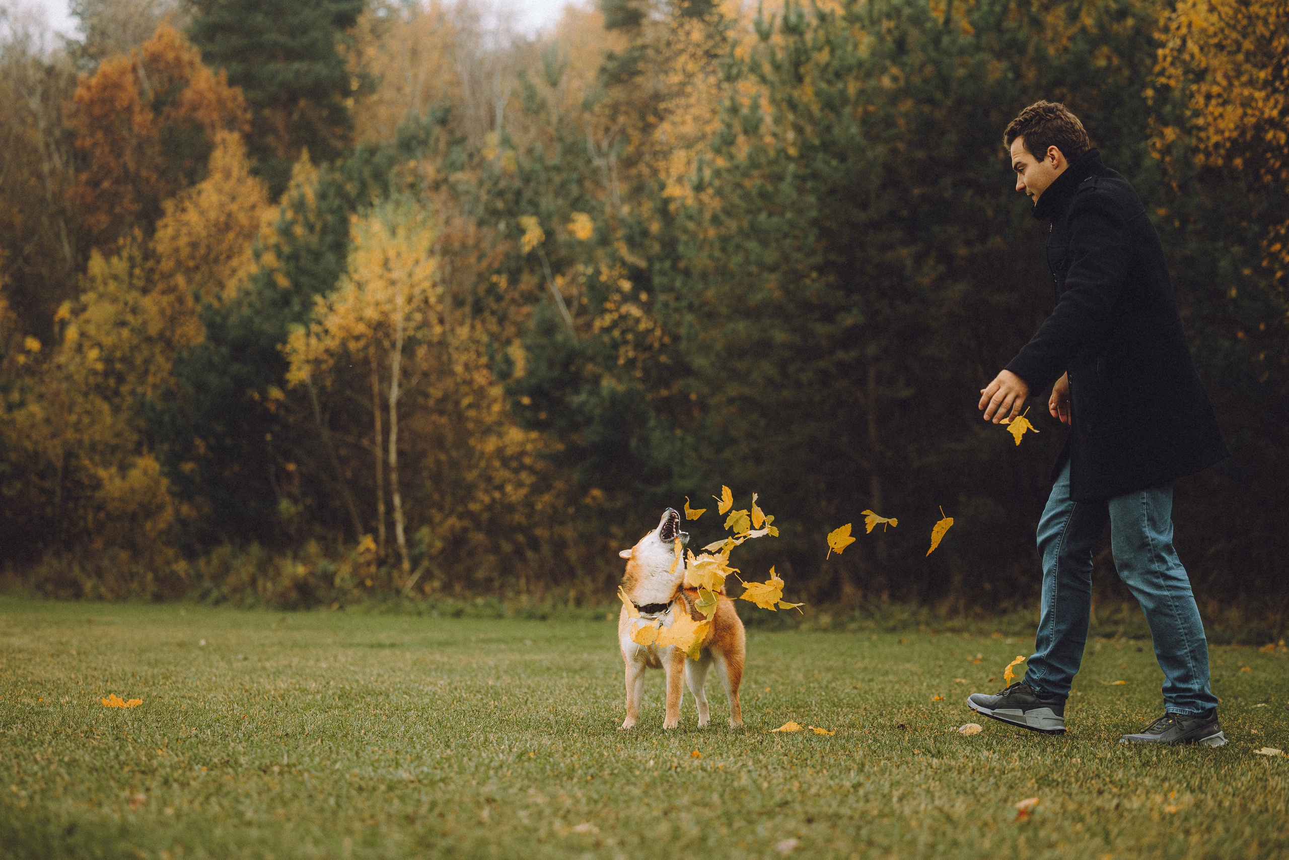 Настя, Юра и Скай