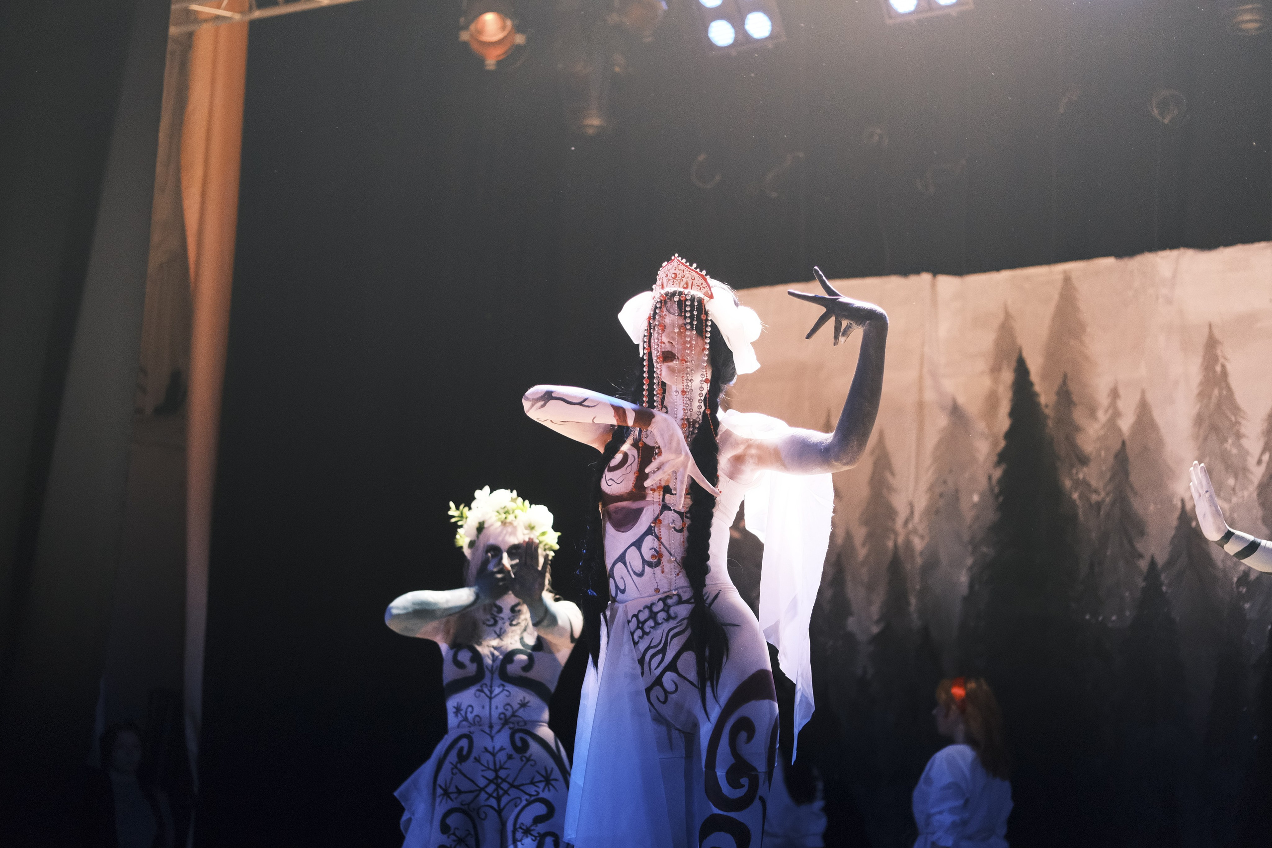 Концерты. NVSL STD