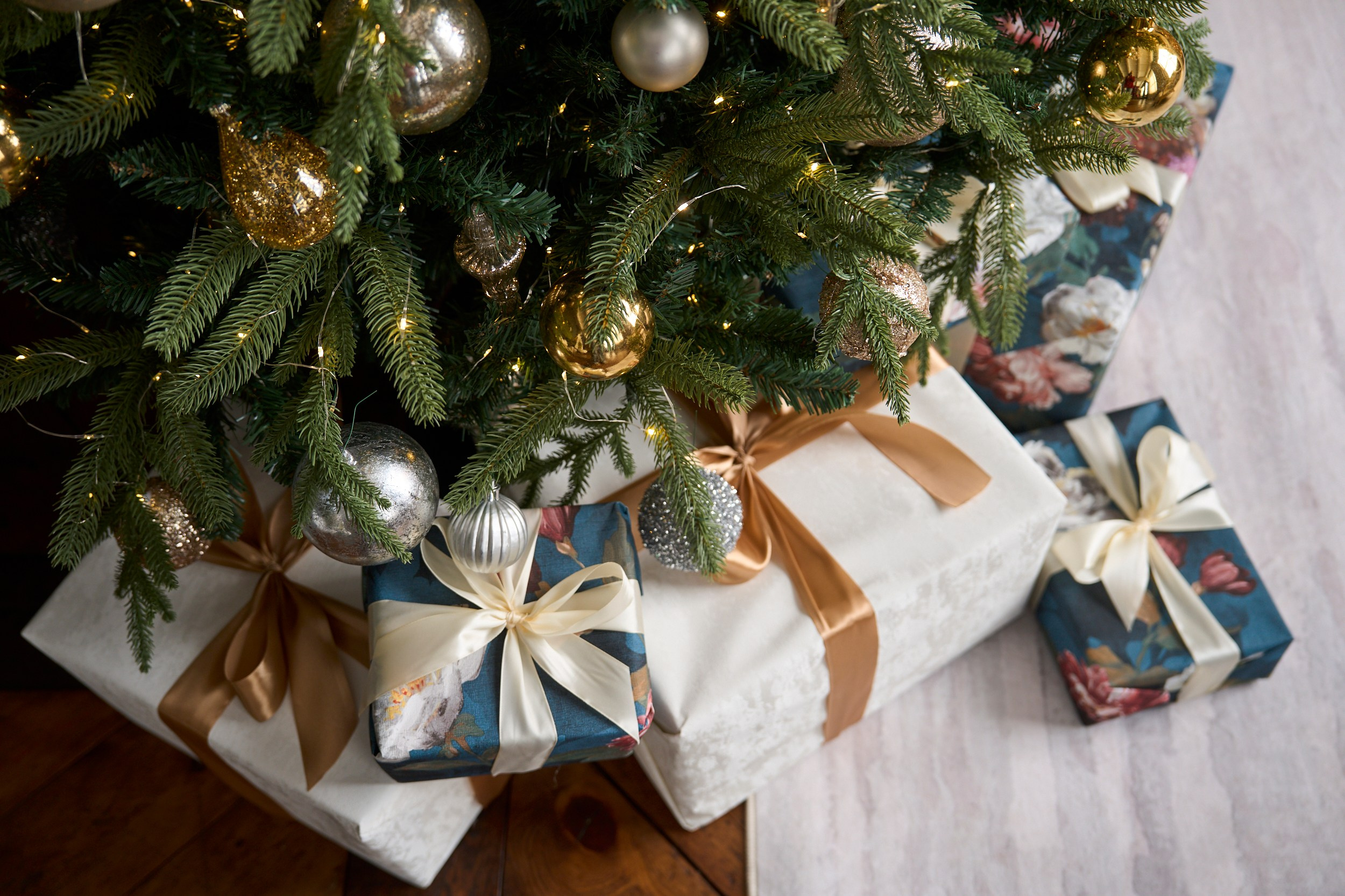 Вуд (Wood). Фотограф г. Хабаровск. Семейные и индивидуальные съёмки