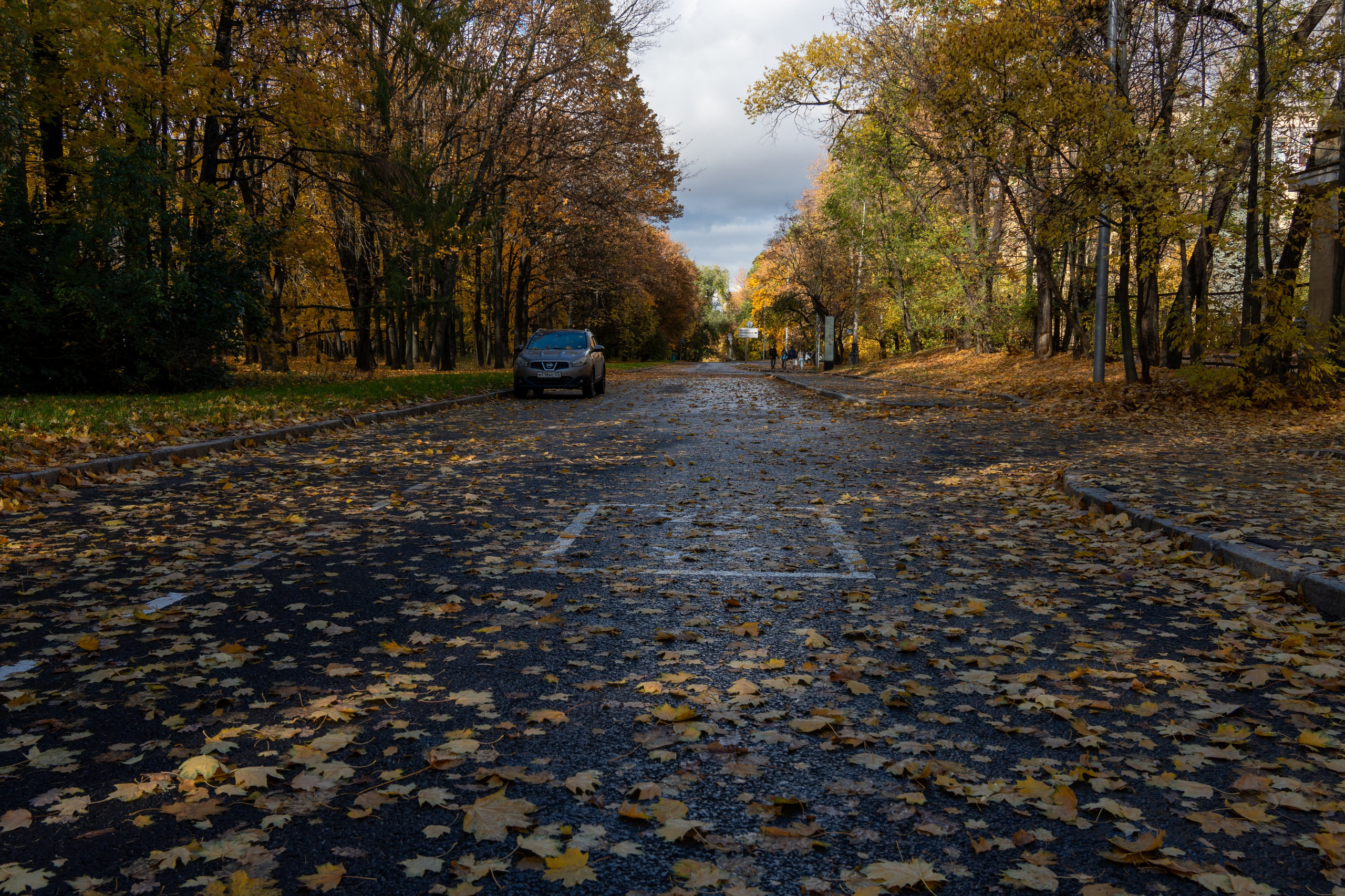 20251012 МГУ. Дмитрий Ремизов. Фотография, как хобби