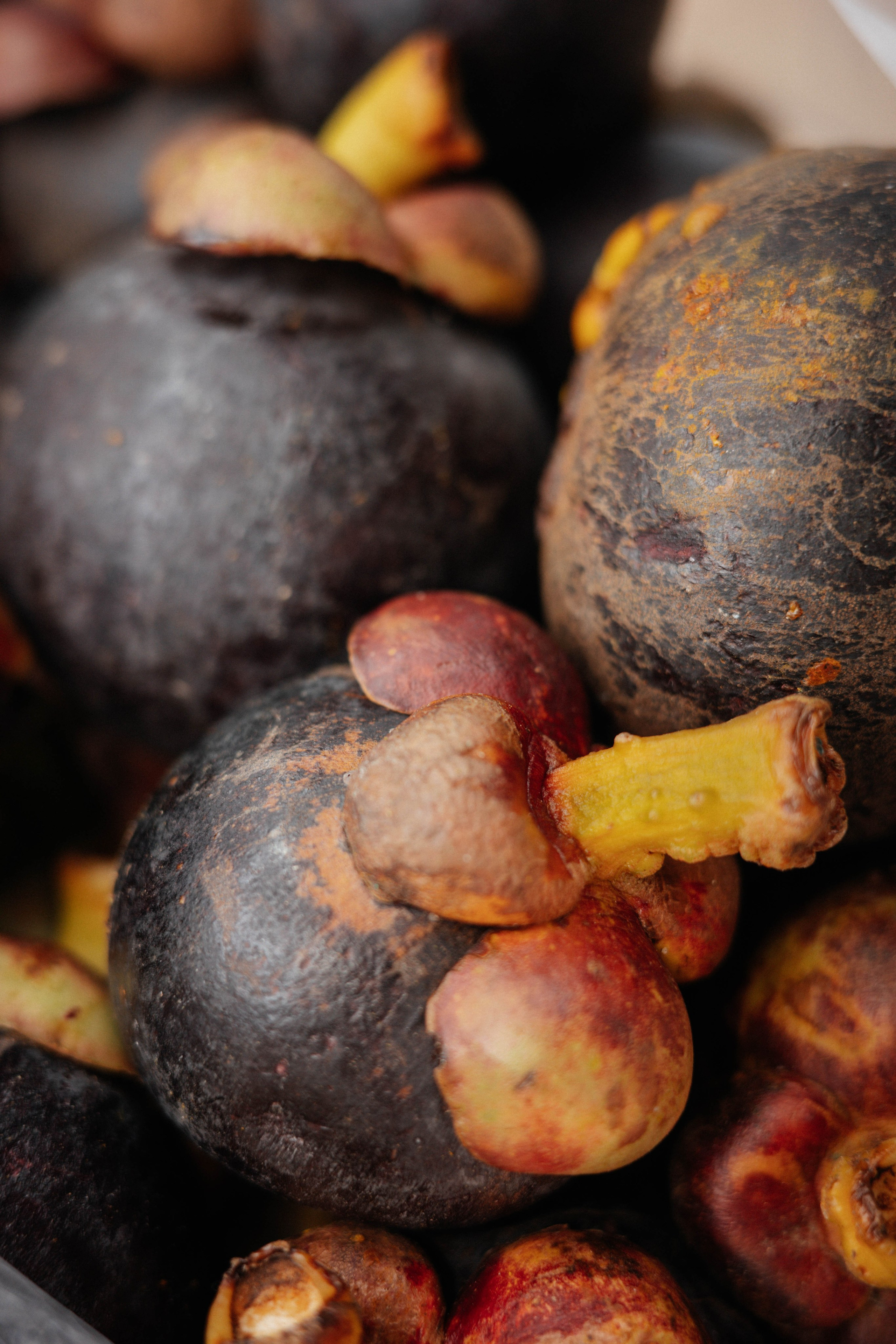 Тай, 2023. Свадебный фотограф Москва Александра Аверкова