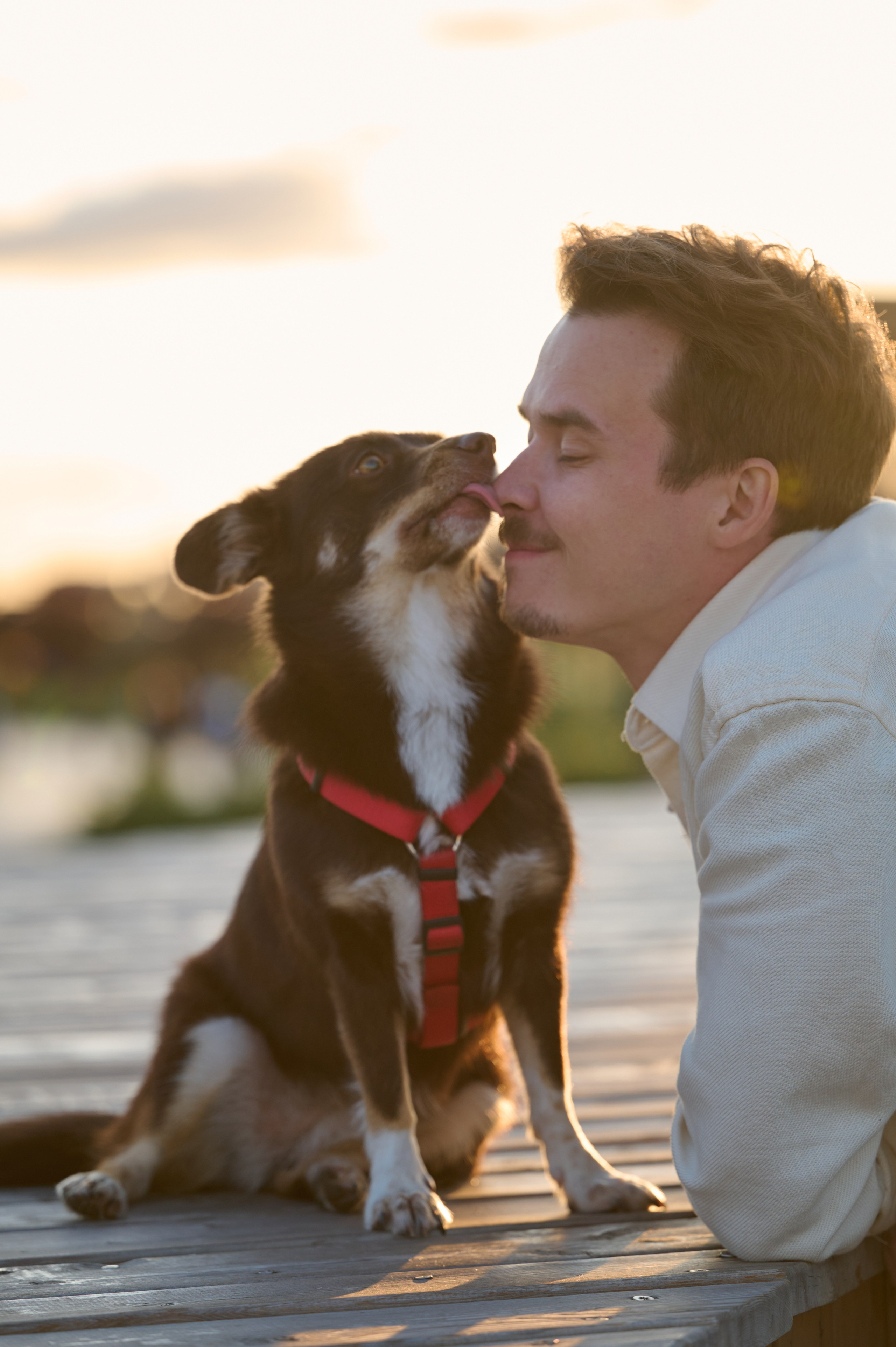 Ренита и Егор с Фокси и Пени. Фотограф анималист в Казани Алина Сулейманова. Фотограф животных