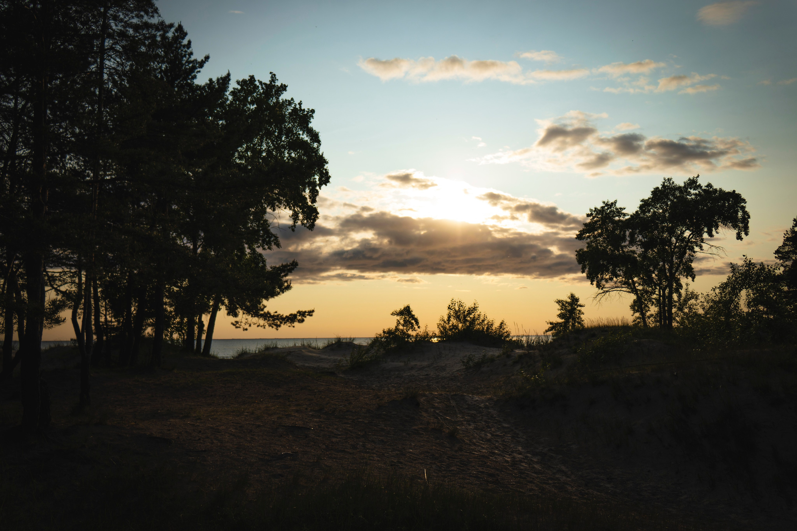 Из наблюдений. Плак или Квак