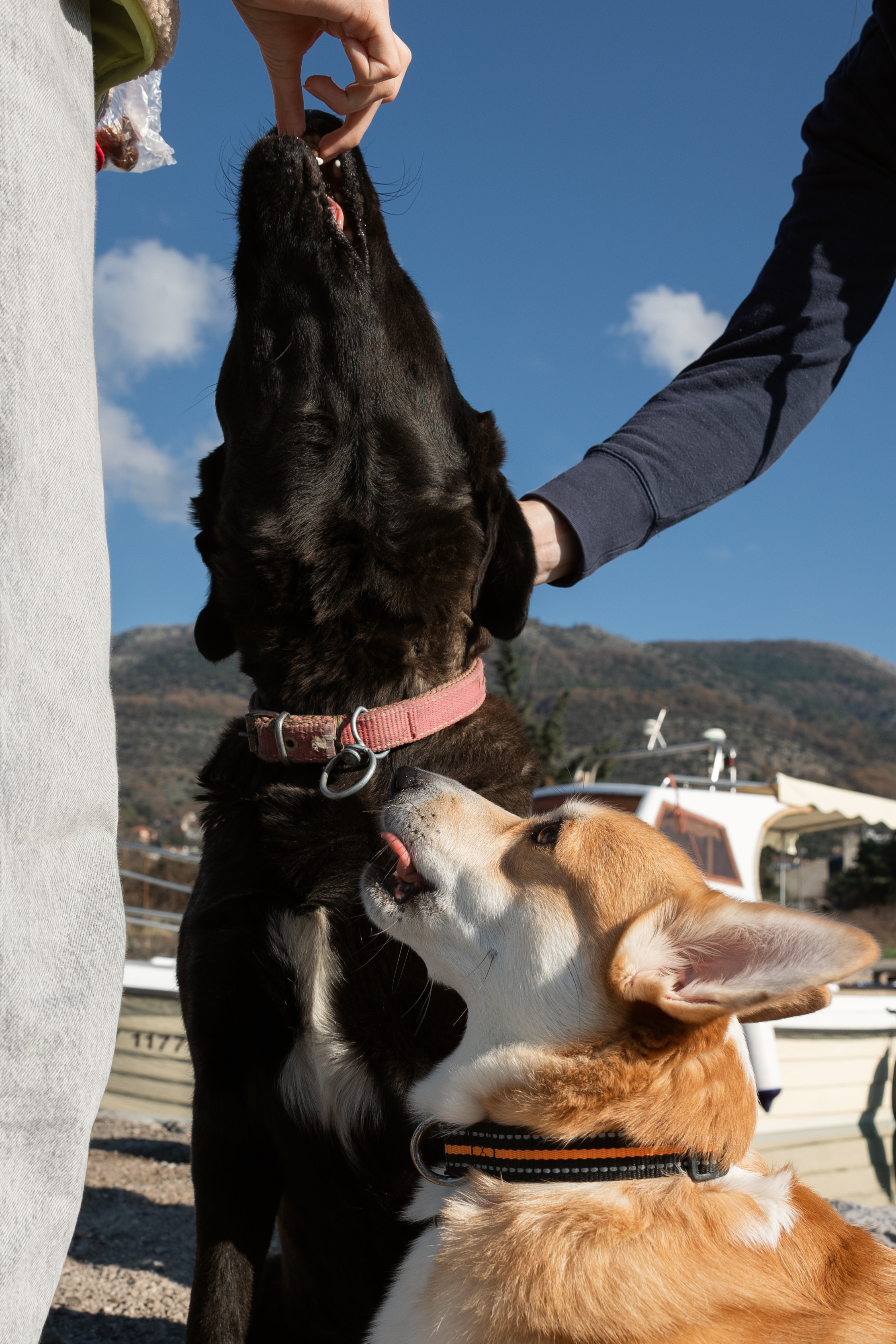 Утренняя прогулка. Портретный фотограф, контент фотограф, продающие фото в Москве и МО