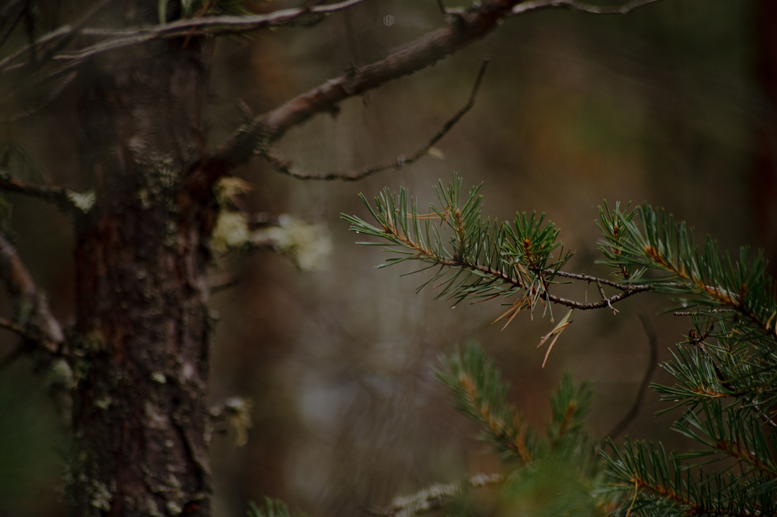METADREAMS 2024. Контент фотограф Илья Урс