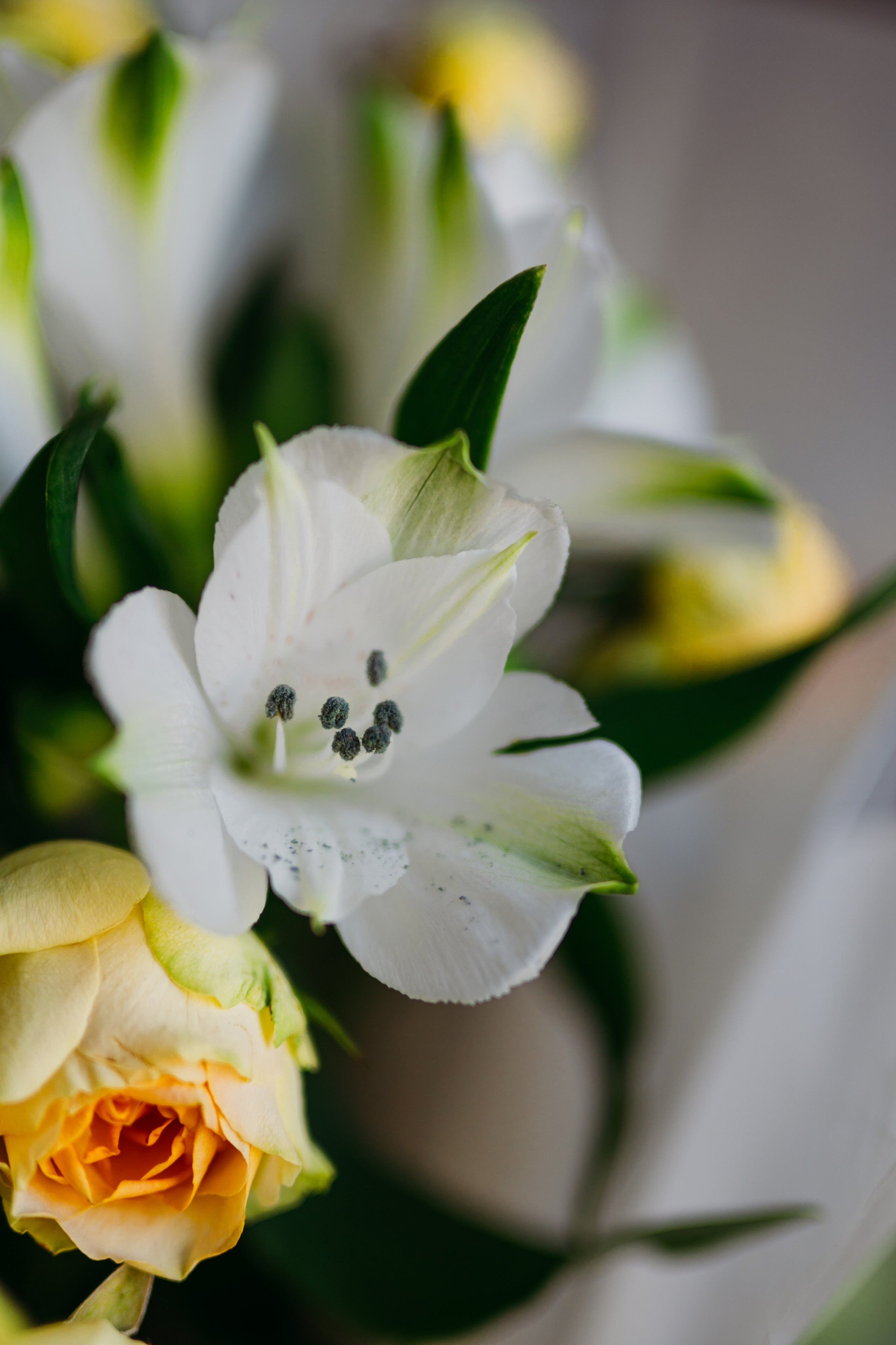 букет белый и желтый фото