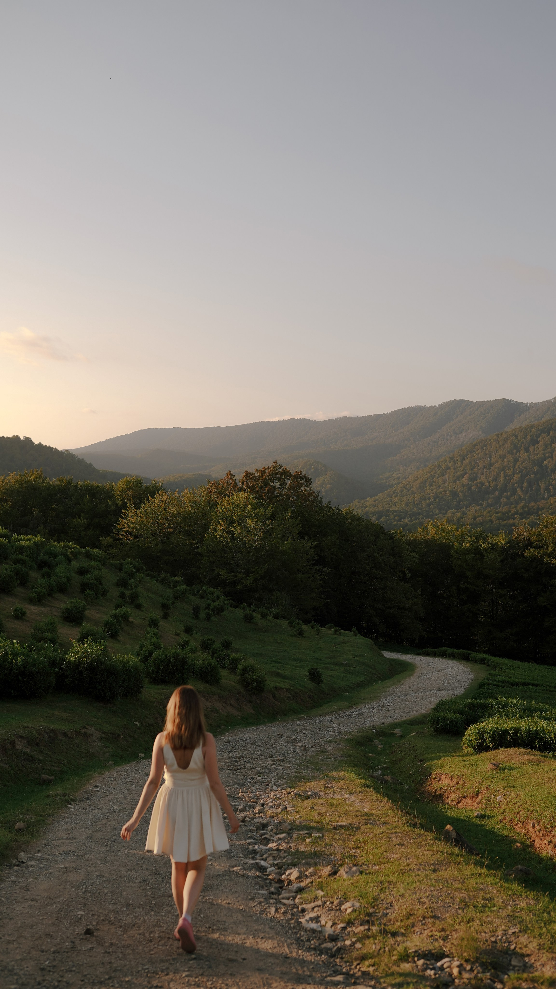 Чайные плантации. Милана Довгаль - семейный фотограф и видеограф  в Адлере и Сочи