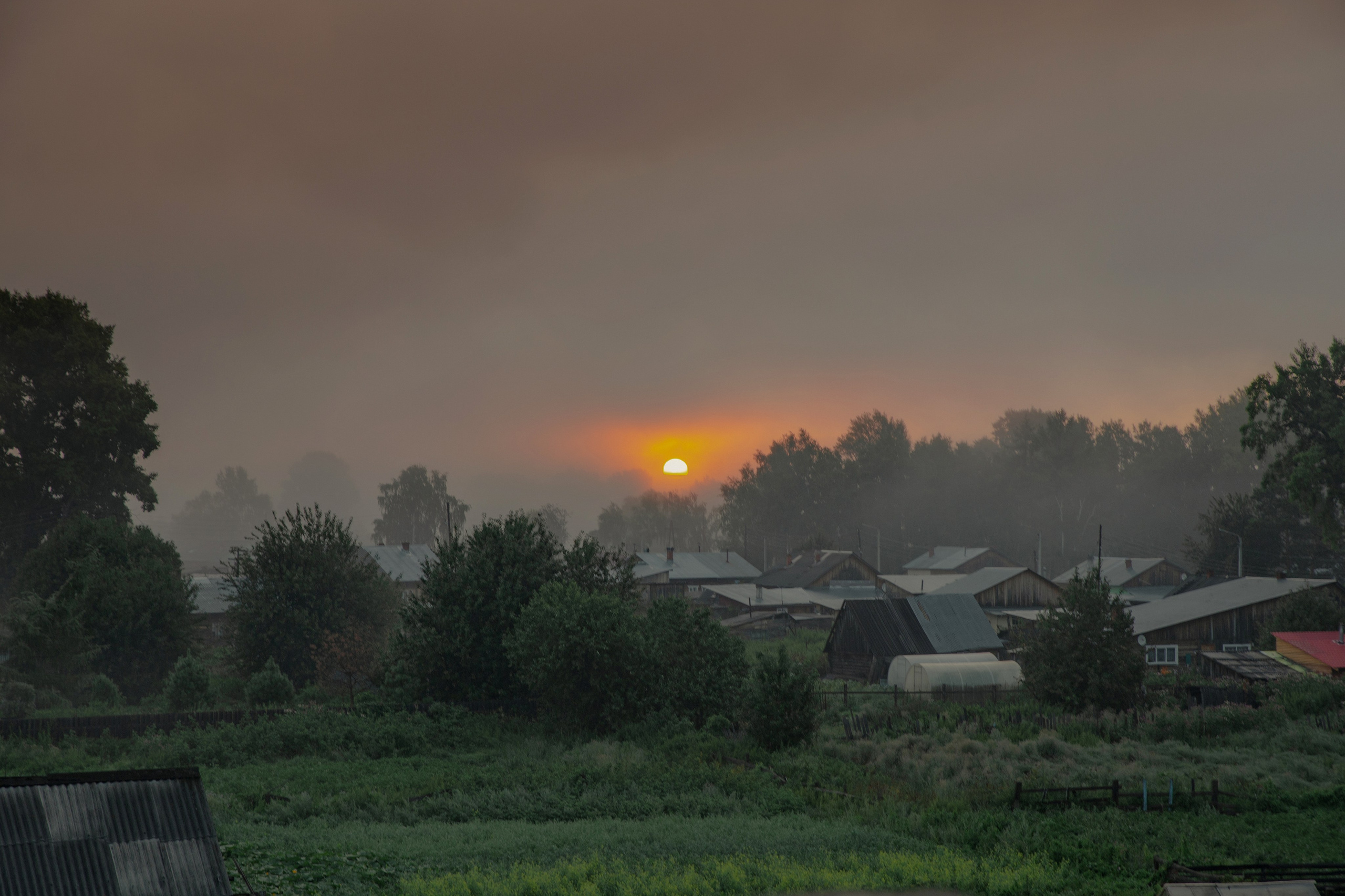 Мои работы. Выпускные альбомы в Томске. Леднева Олеся