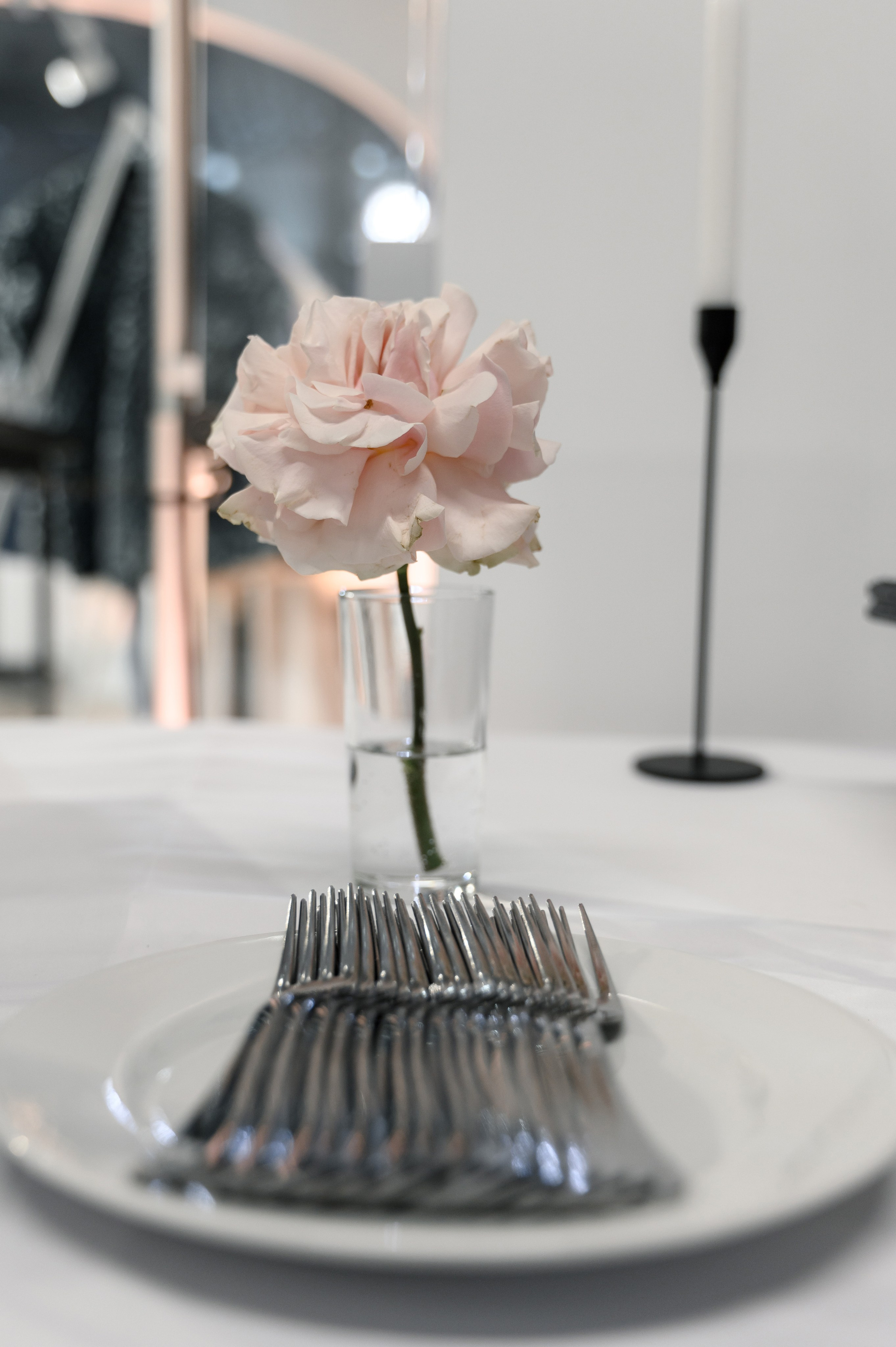 ZIMA LOVING LIFE. Свадебный фотограф Минск