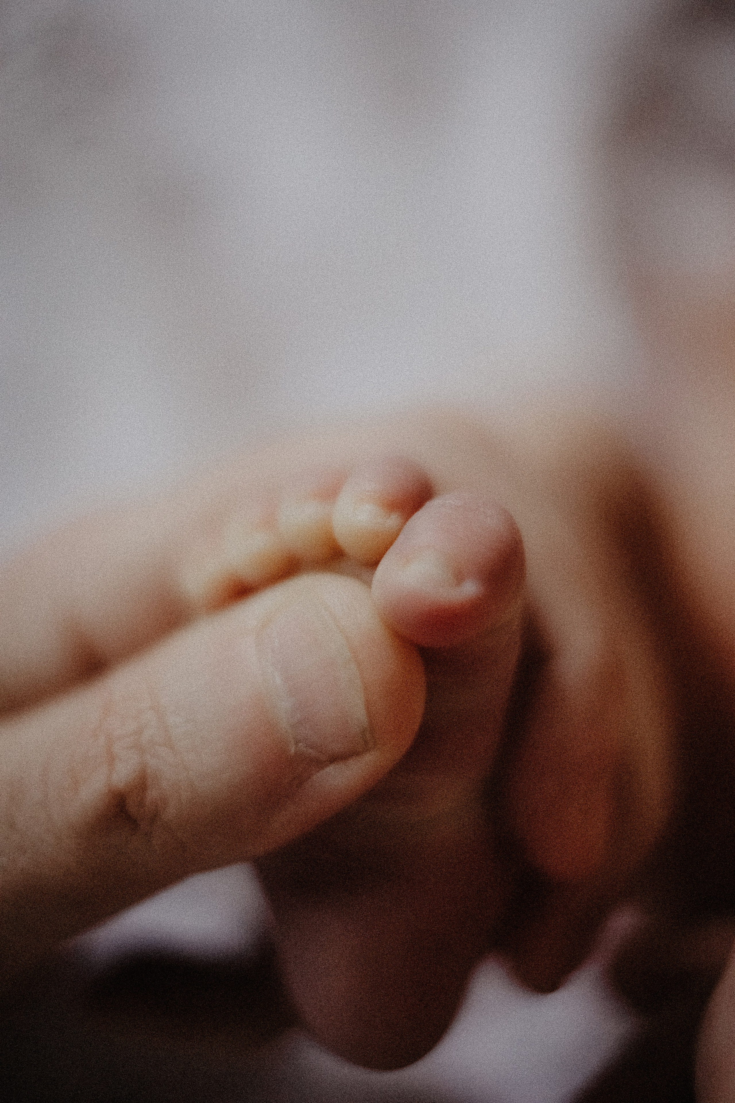 Мирослава. Семейный домашний фотограф Москва Зеленоград Настя Маркова