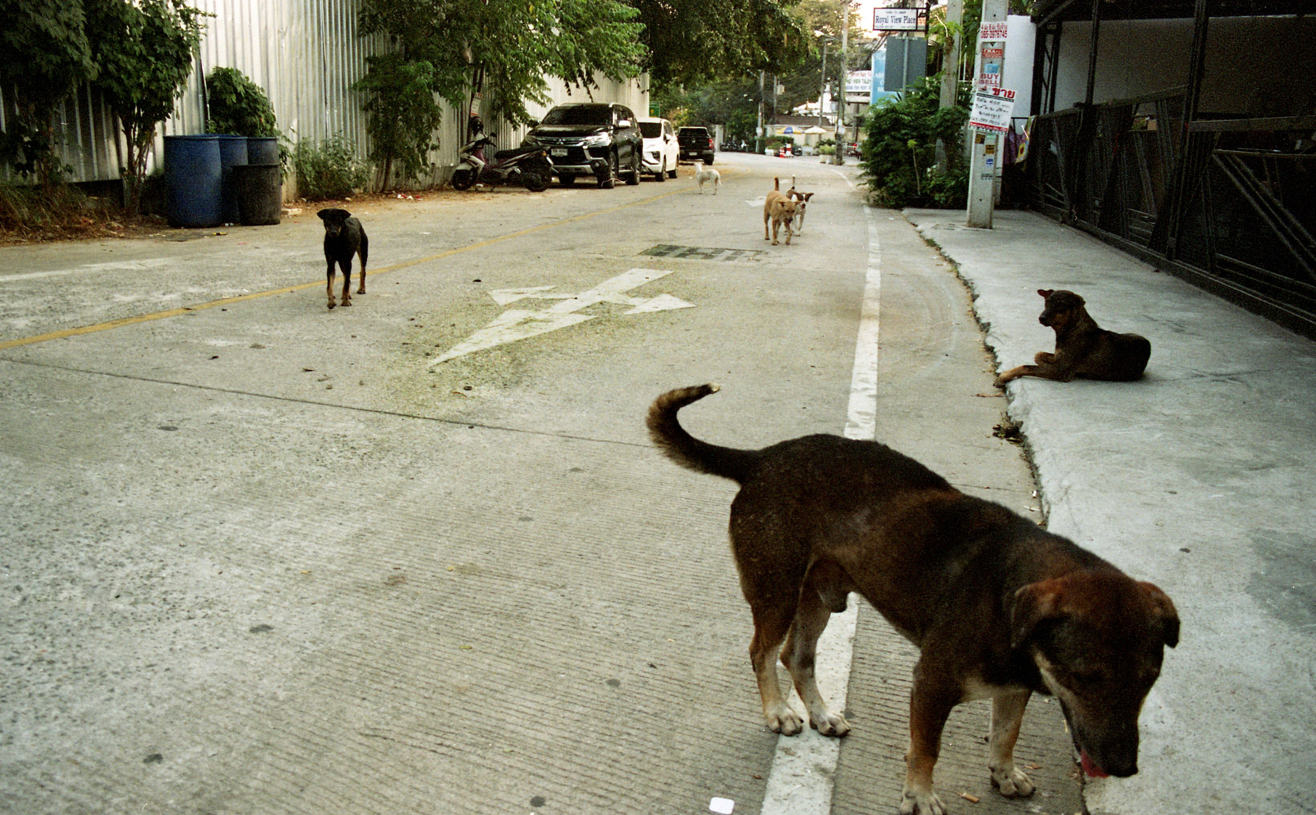 Тайланд. Елена Никитина. Фотохудожник. Пленочная фотография. Принты
