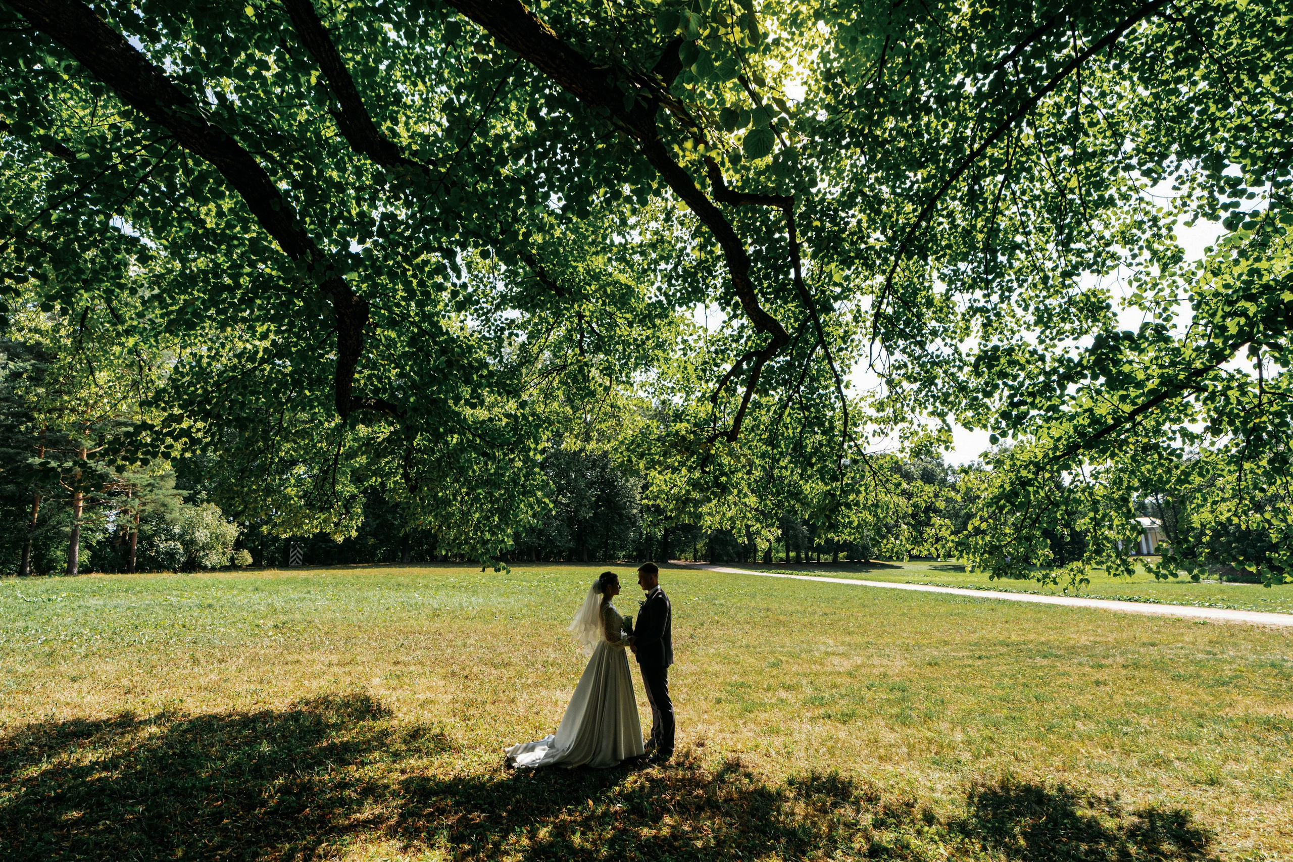 Свадебный и репортажный фотограф