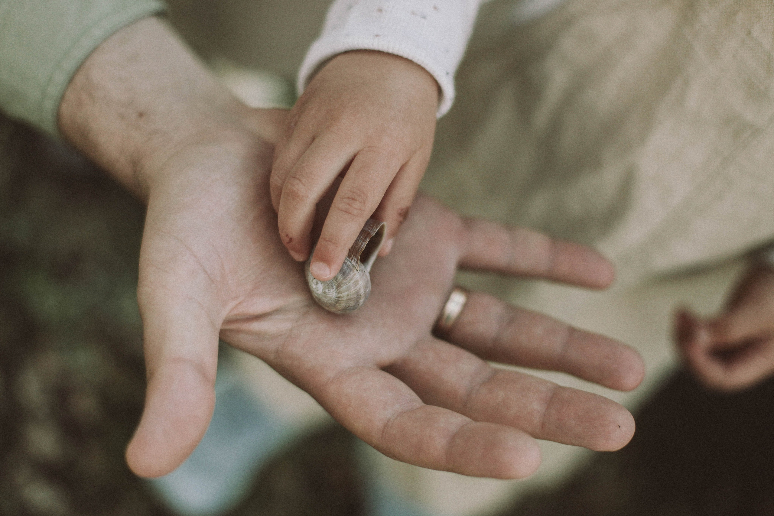 Семейные съемки