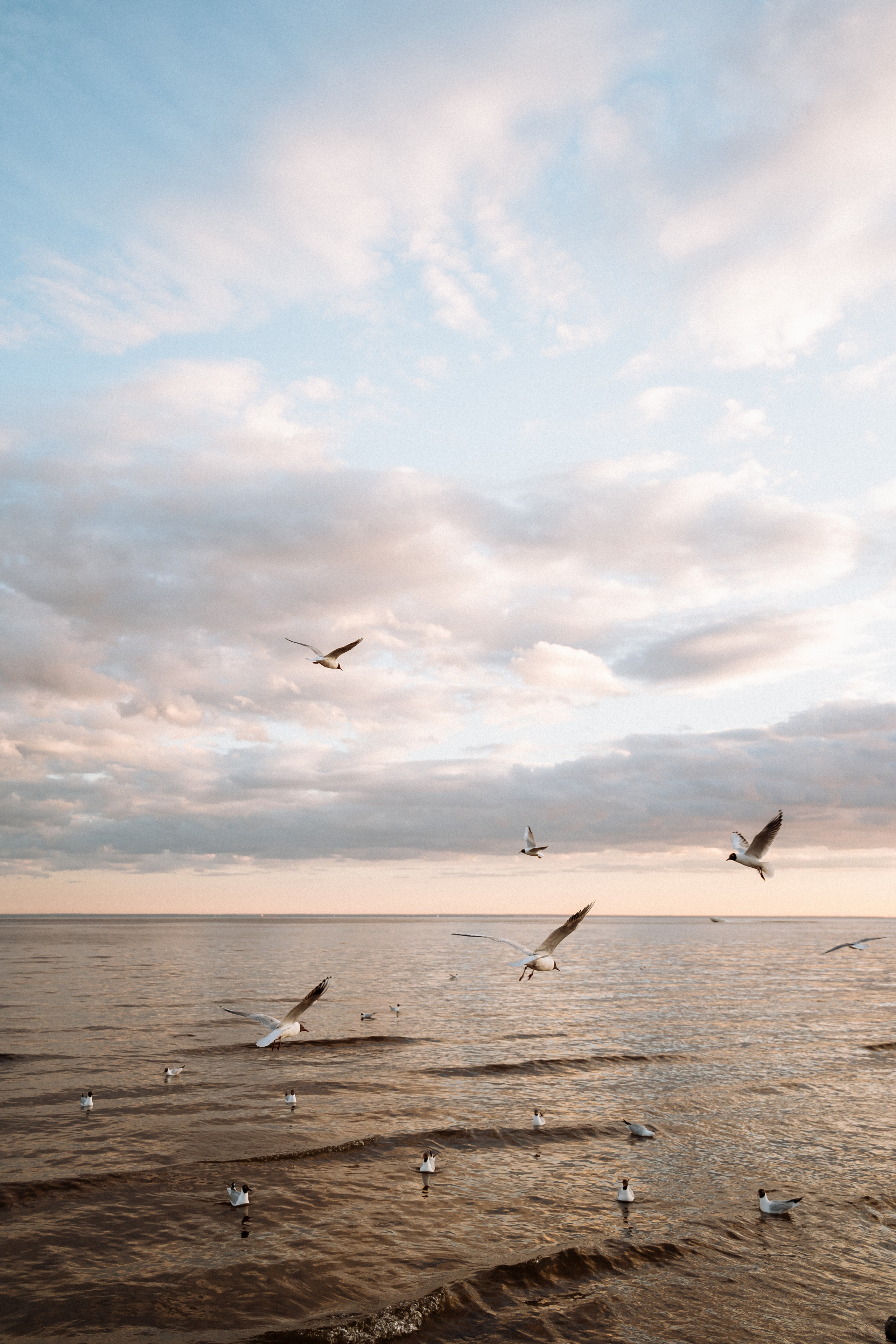 Настя и Максим. Свадебный фотограф в Москве Яна Деньгина