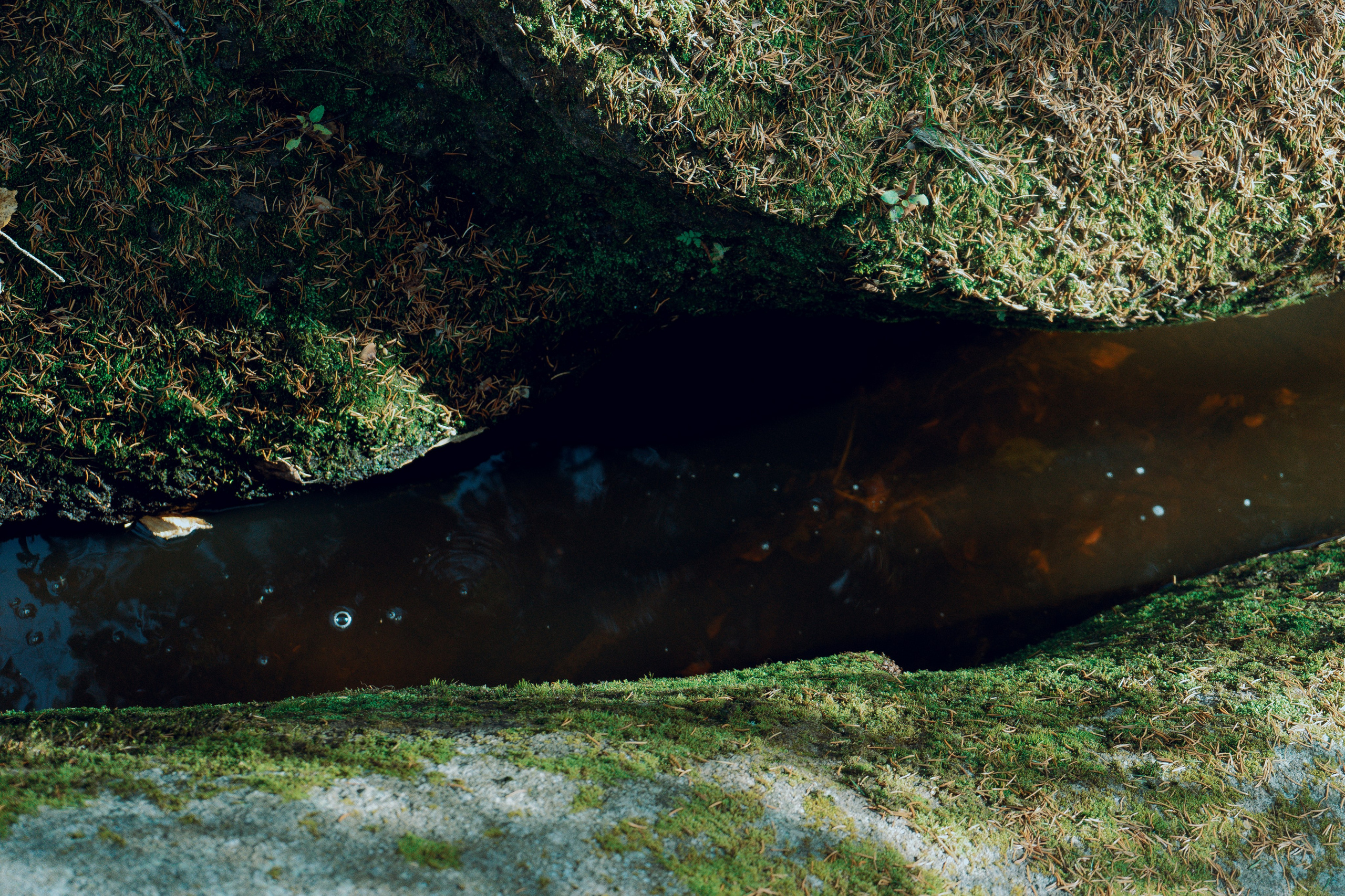 Поход на Соколиный камень. Денис Марков — фотограф в Екатеринбурге