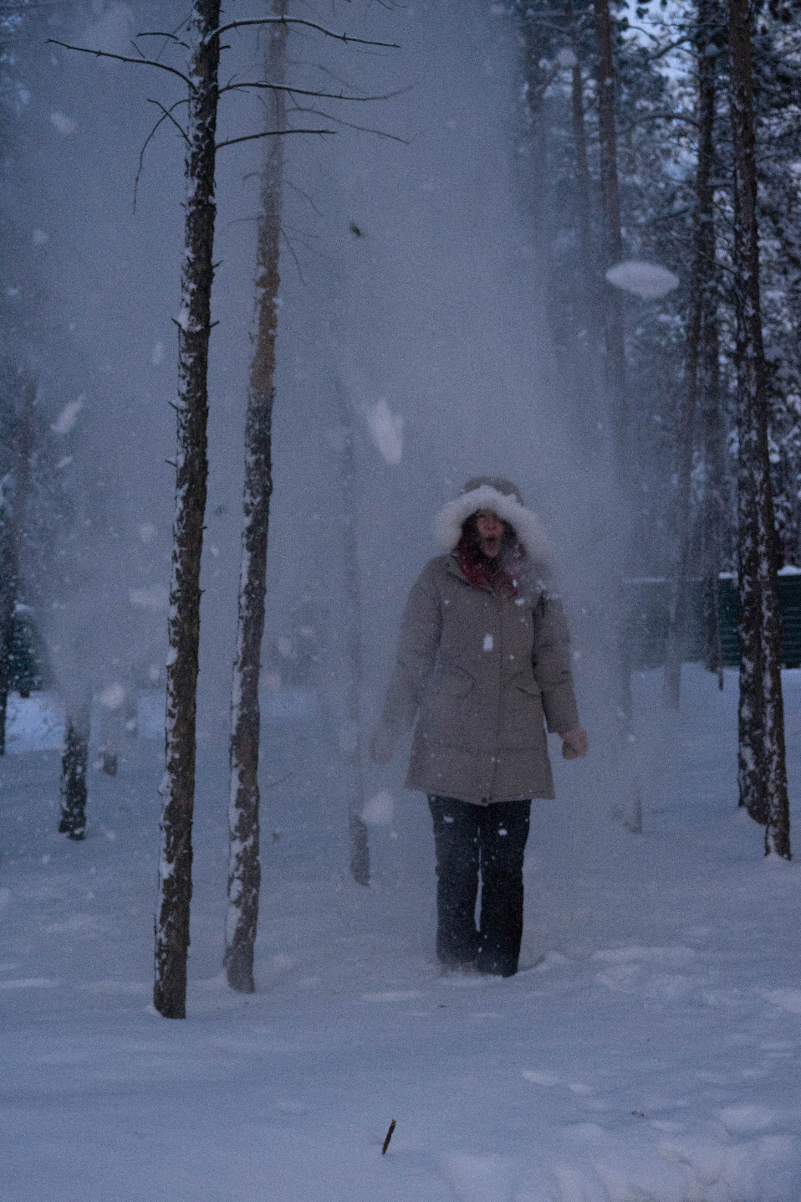 Над карьером. Портфолио