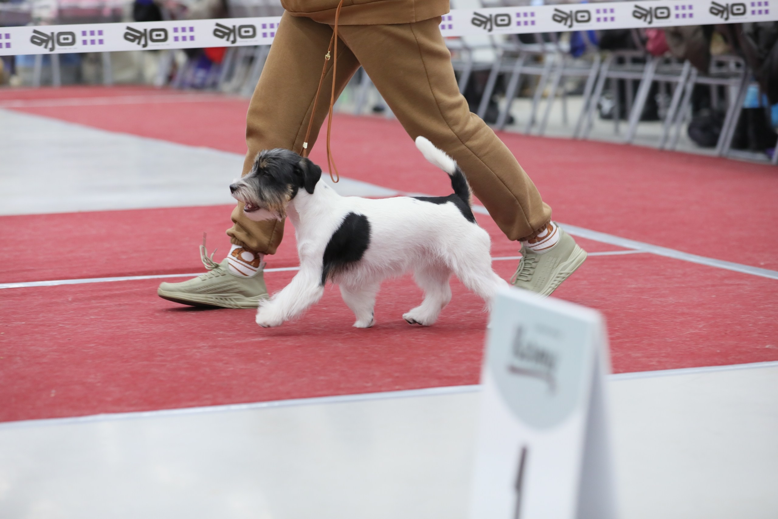 Port Fortis Destiny Of Love