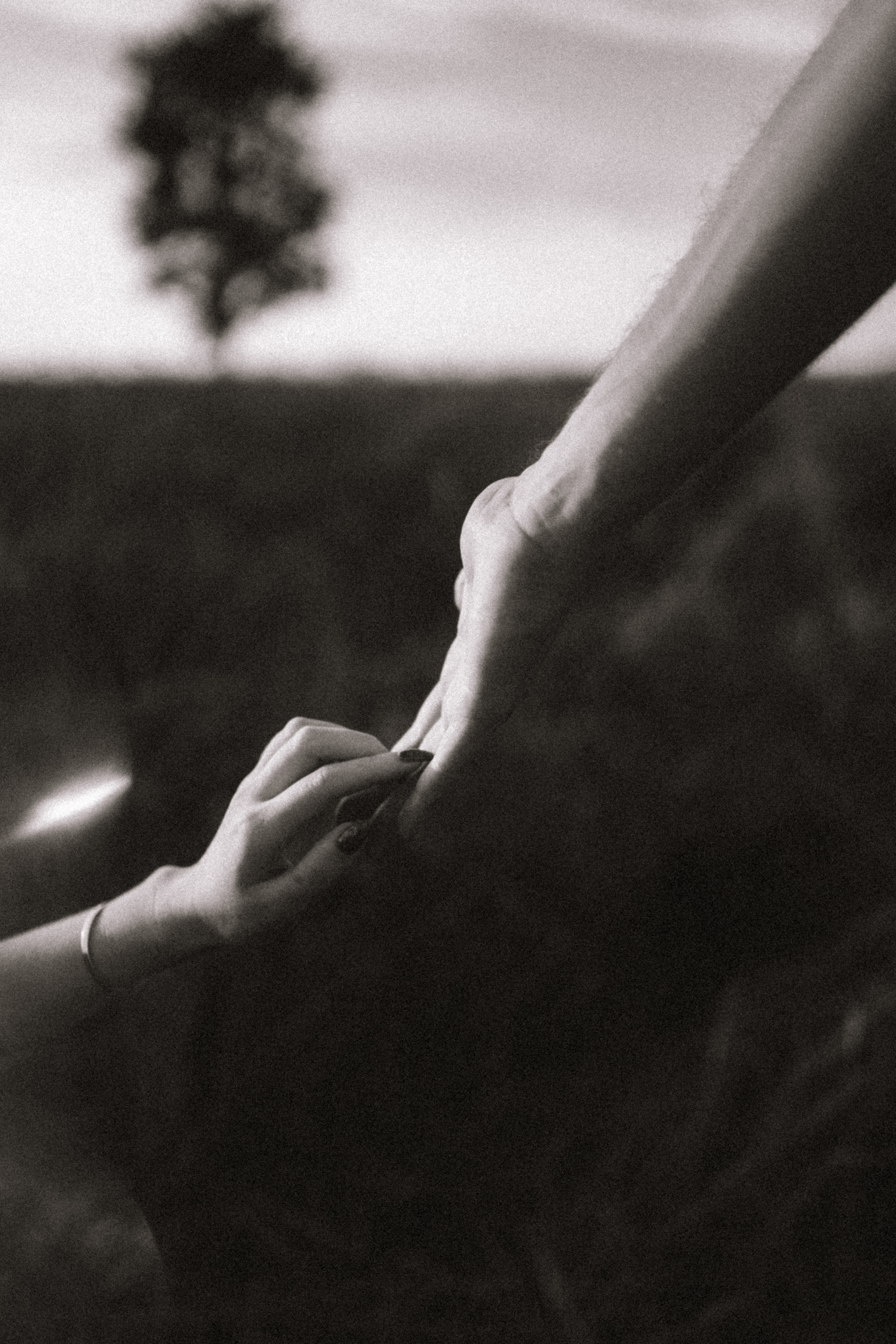 Настя и Влад. Свадебный и семейный Фотограф Карина Захаржевская Калуга