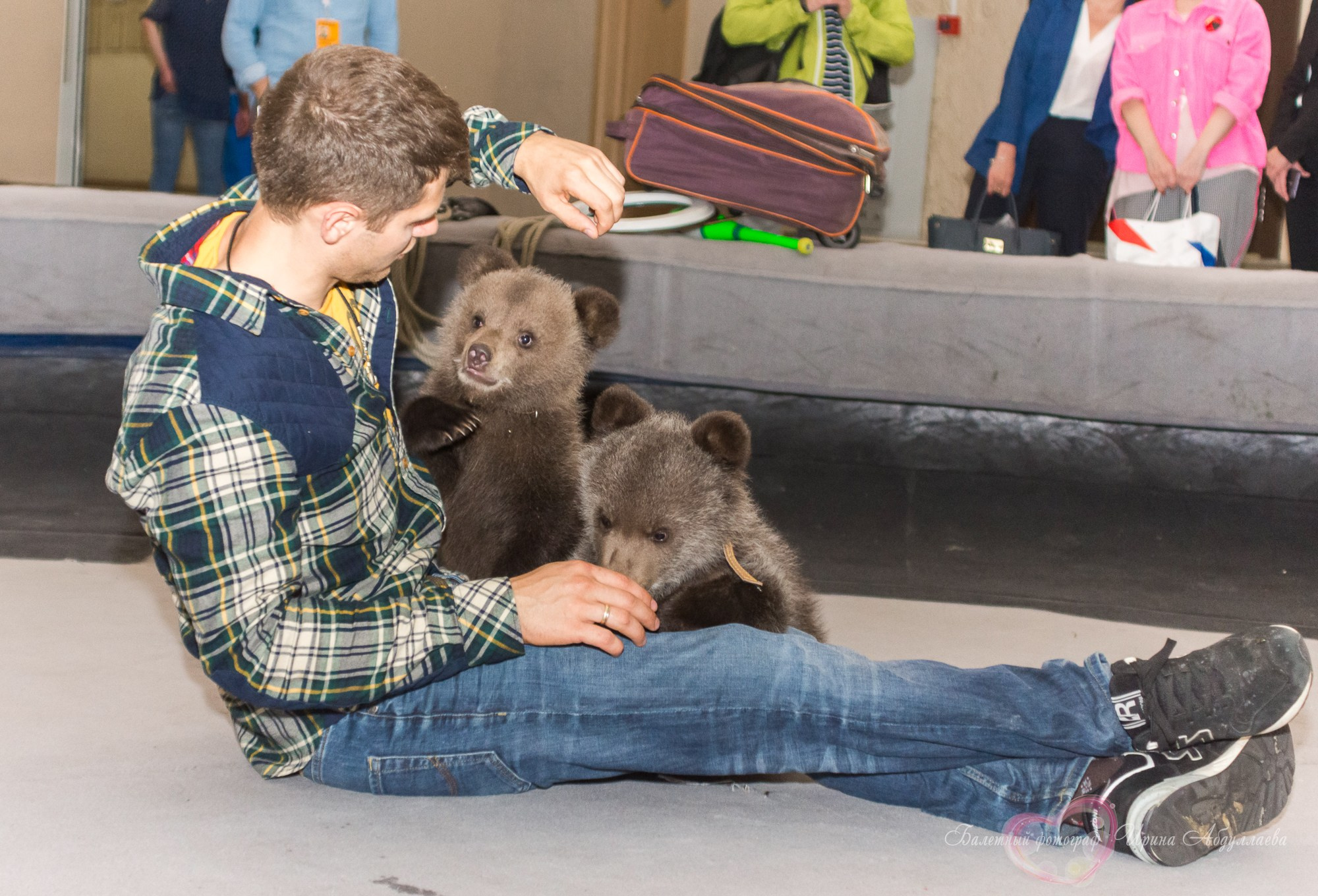 Артист цирка Олег Александров (прогулка -интервью): «Секрет дрессировки — любовь к животным и профессии»