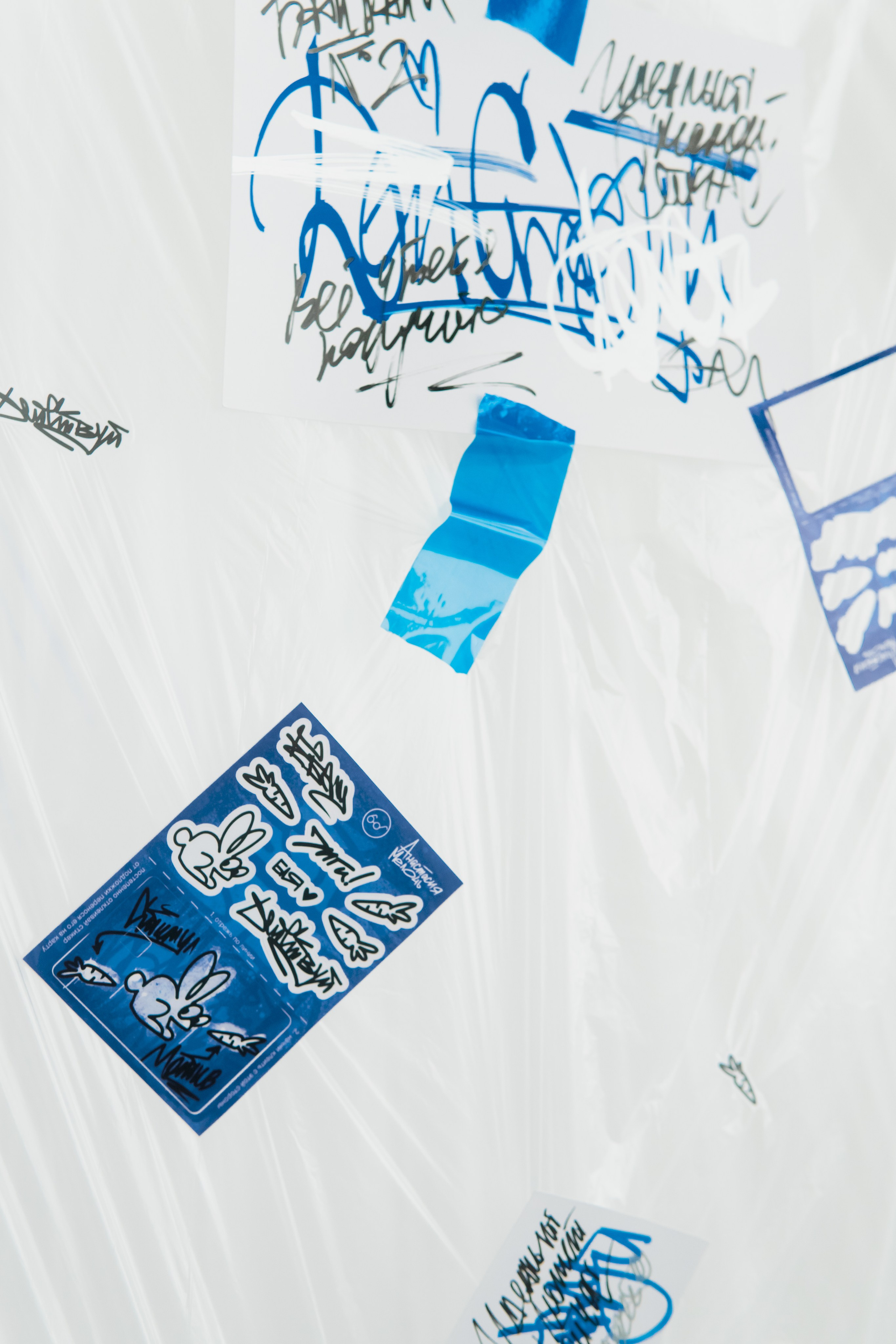 Съемка мерча Анастасия Мелочь. Фотограф-анималист Ксения Воробьева, Москва