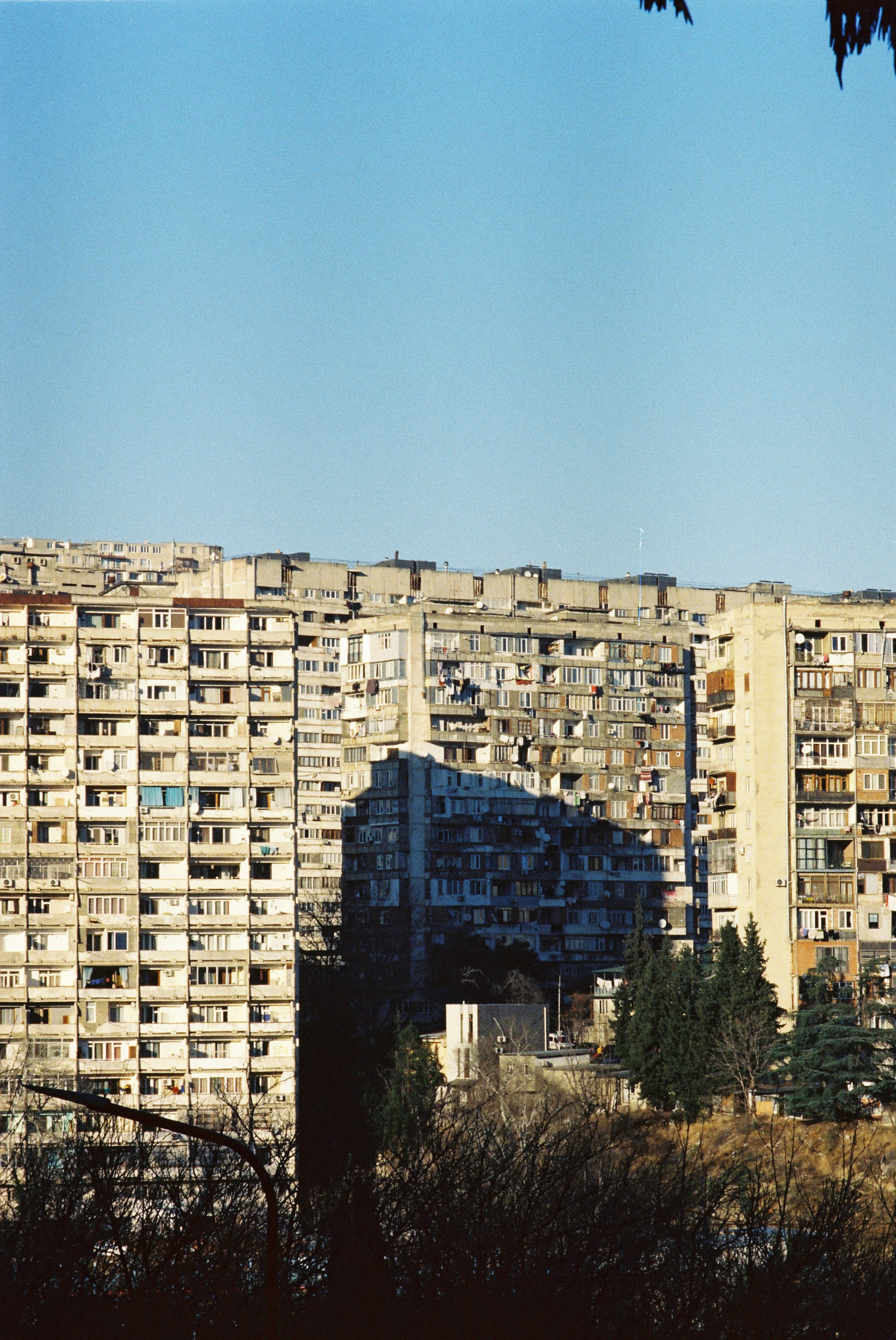 ON THE GO. Сocoobird || Атмосфера твоего бренда в снимках и видео
