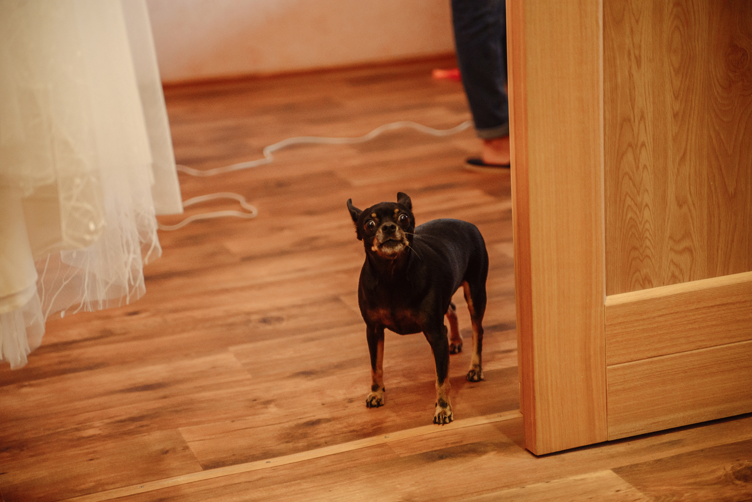 Артем & Ирина. Свадебный фотограф во Владивостоке Гарагуля Игорь