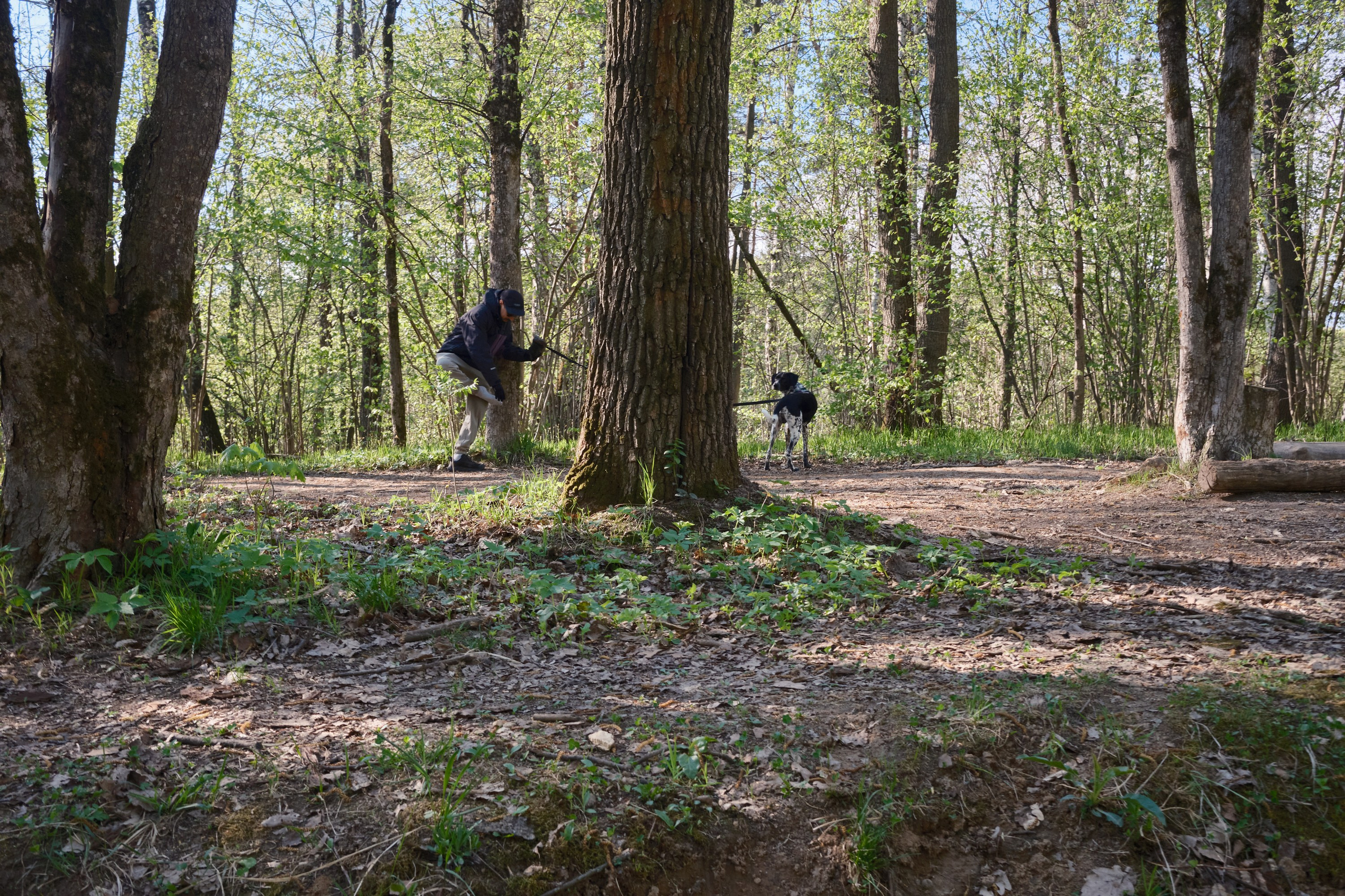 Парк Синичка | Красногорск. Фотографъ Сергѣевъ. Поймать мгновеніе