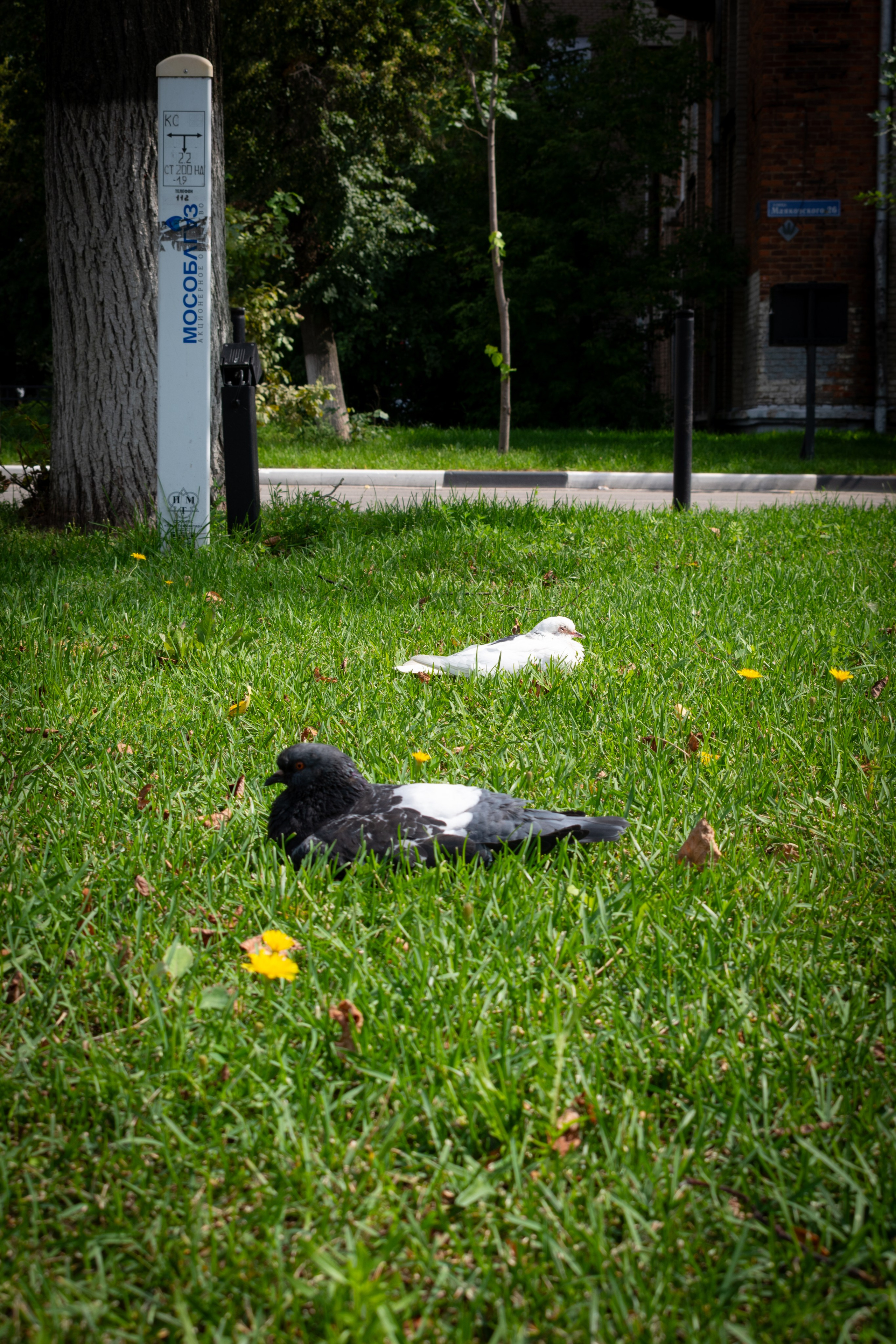 «Леди на велосипеде» — велопробег по г. Жуковскому 2025. Репортажный фотограф Сыбер Мартти