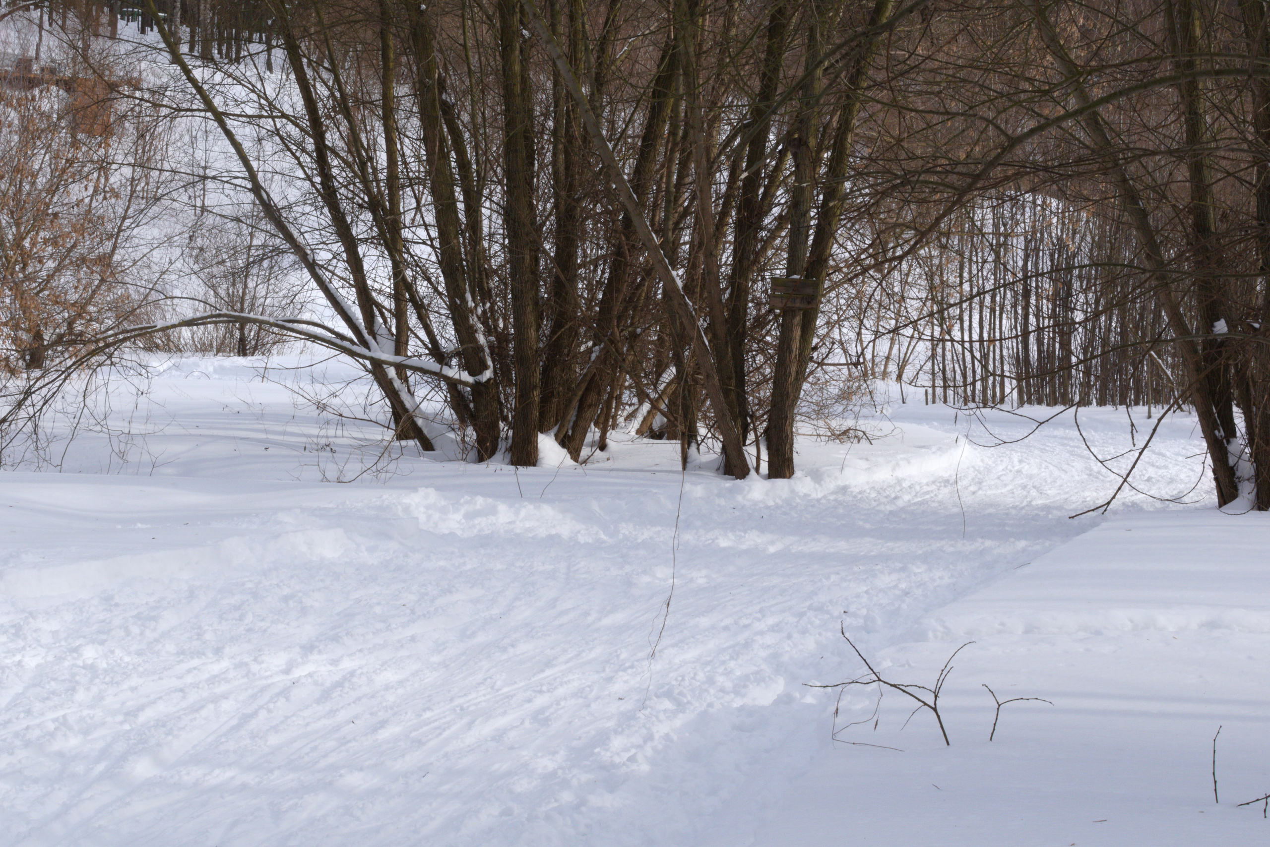 Открытый Кубок Раменского по лыжным гонкам — 2 этап (22.02.2026). Репортажный фотограф Сыбер Мартти