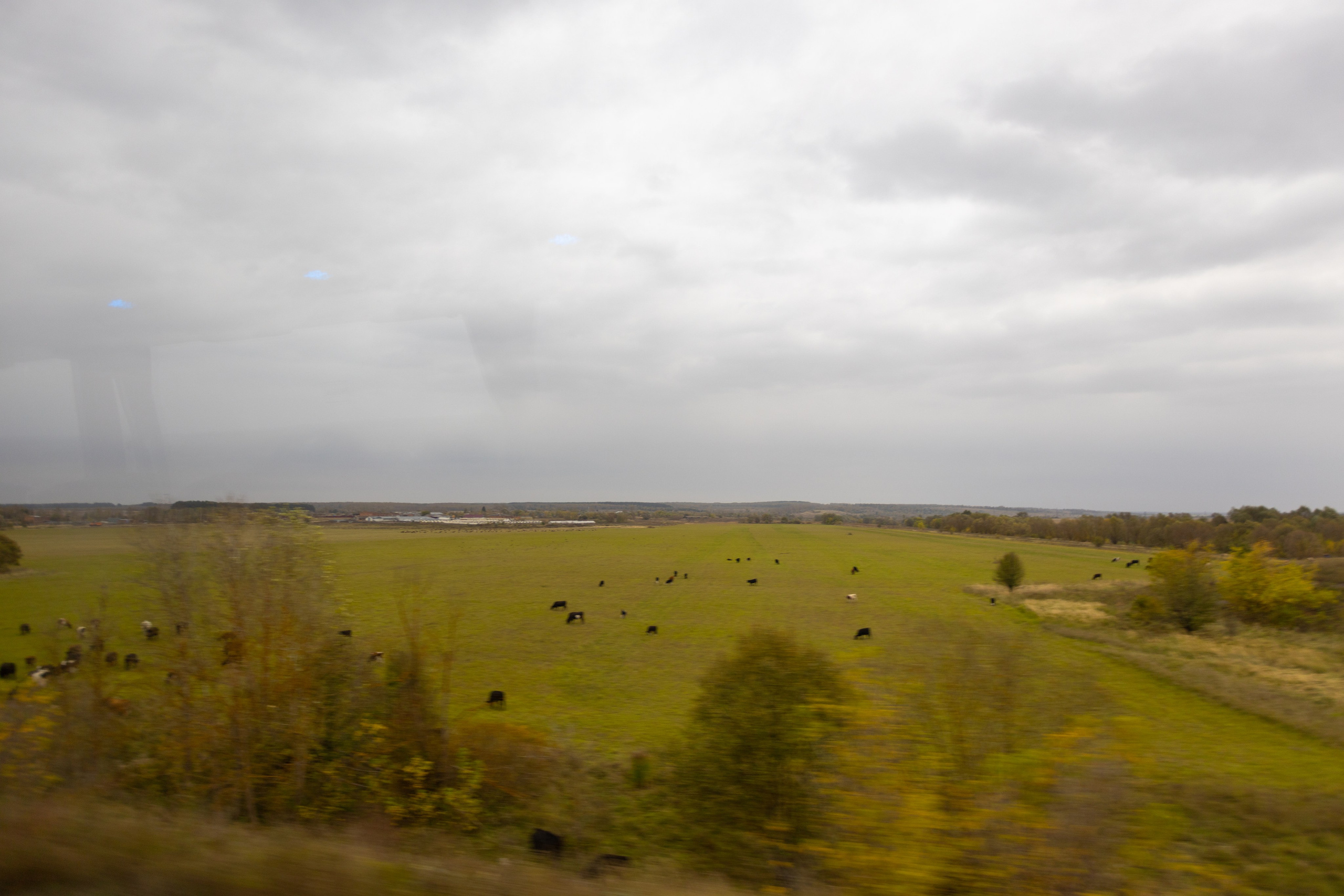Поездка в Белев и на производство пастилы. Фотограф в Туле Крупский АнДРей. Фотостудия «КАДР71» в Туле