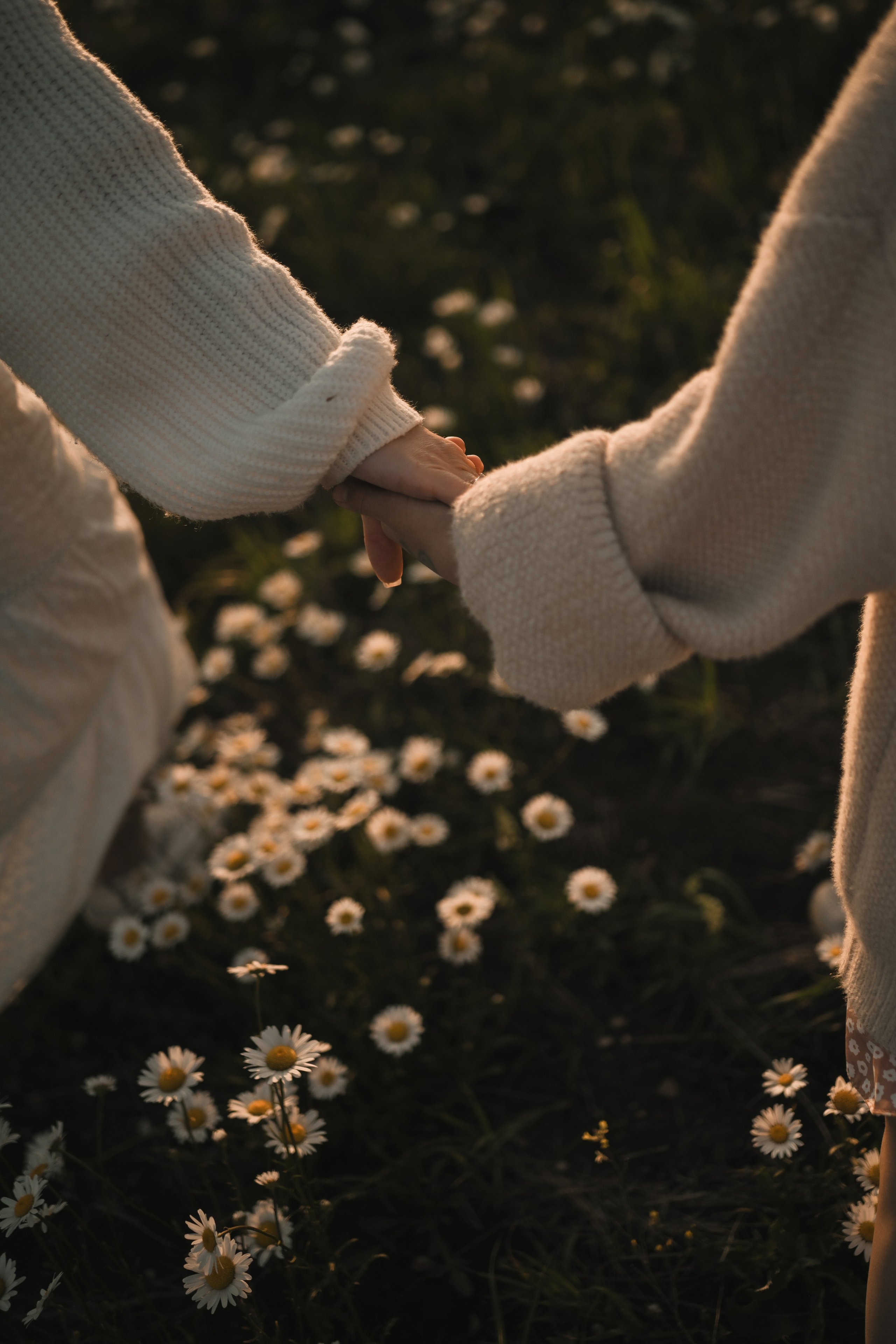 Семейная фотосессия в ромашковом поле в Крыму. Свадебный и семейный фотограф и видеограф, Крым, Москва, Санкт -Петербург